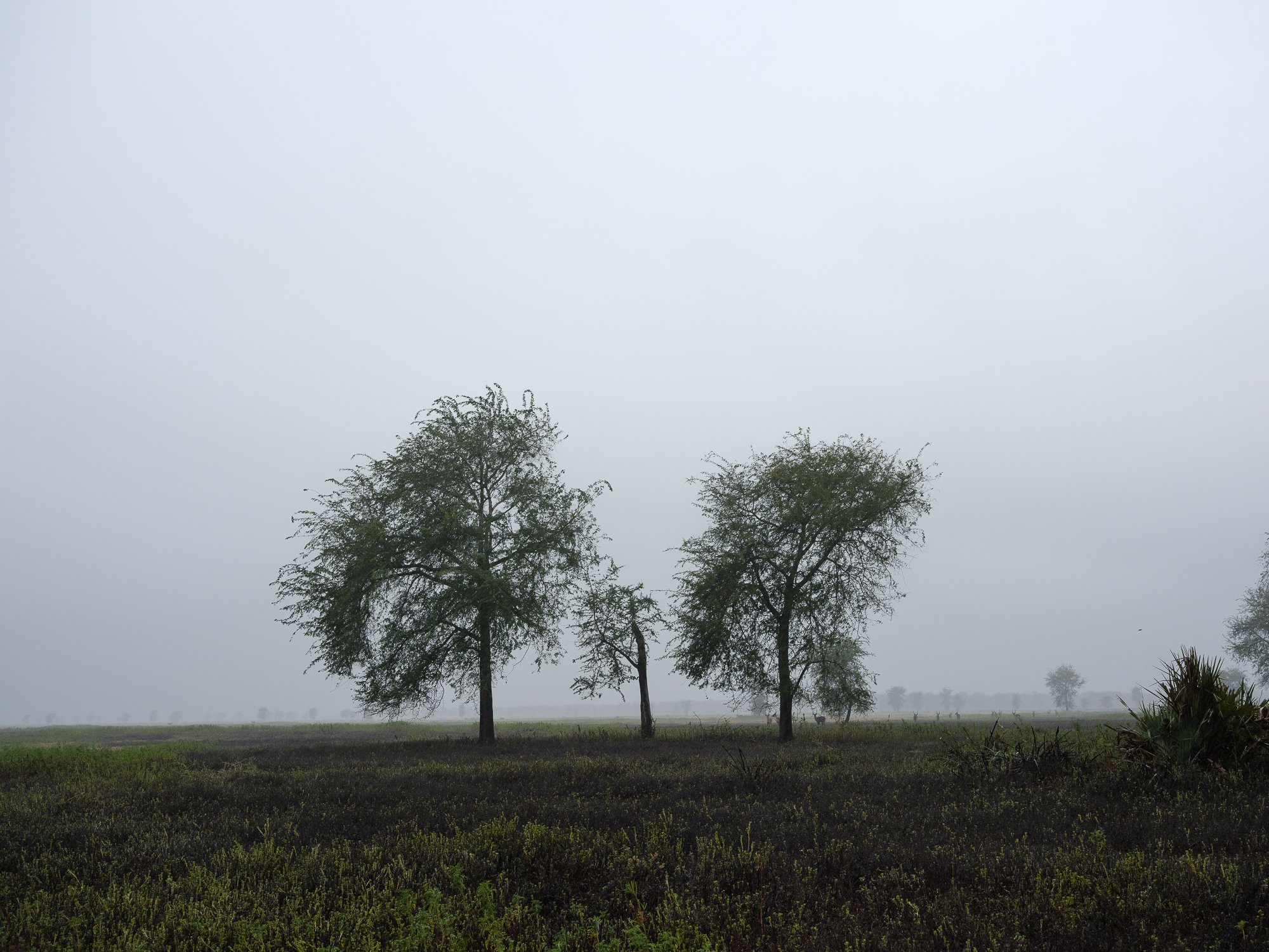 202110 Beira Gorongosa-134.jpg