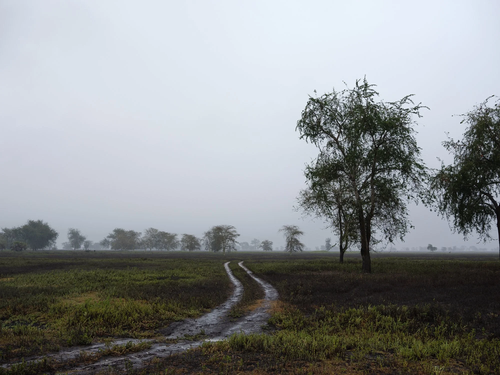 202110 Beira Gorongosa-136.jpg