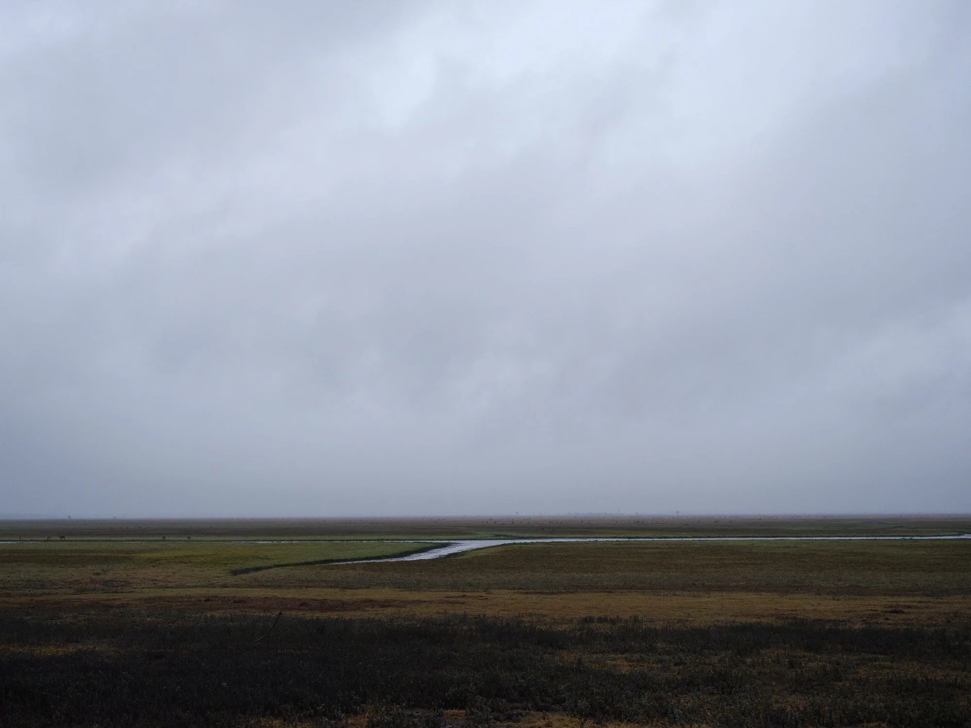 story of beira and gorongosa