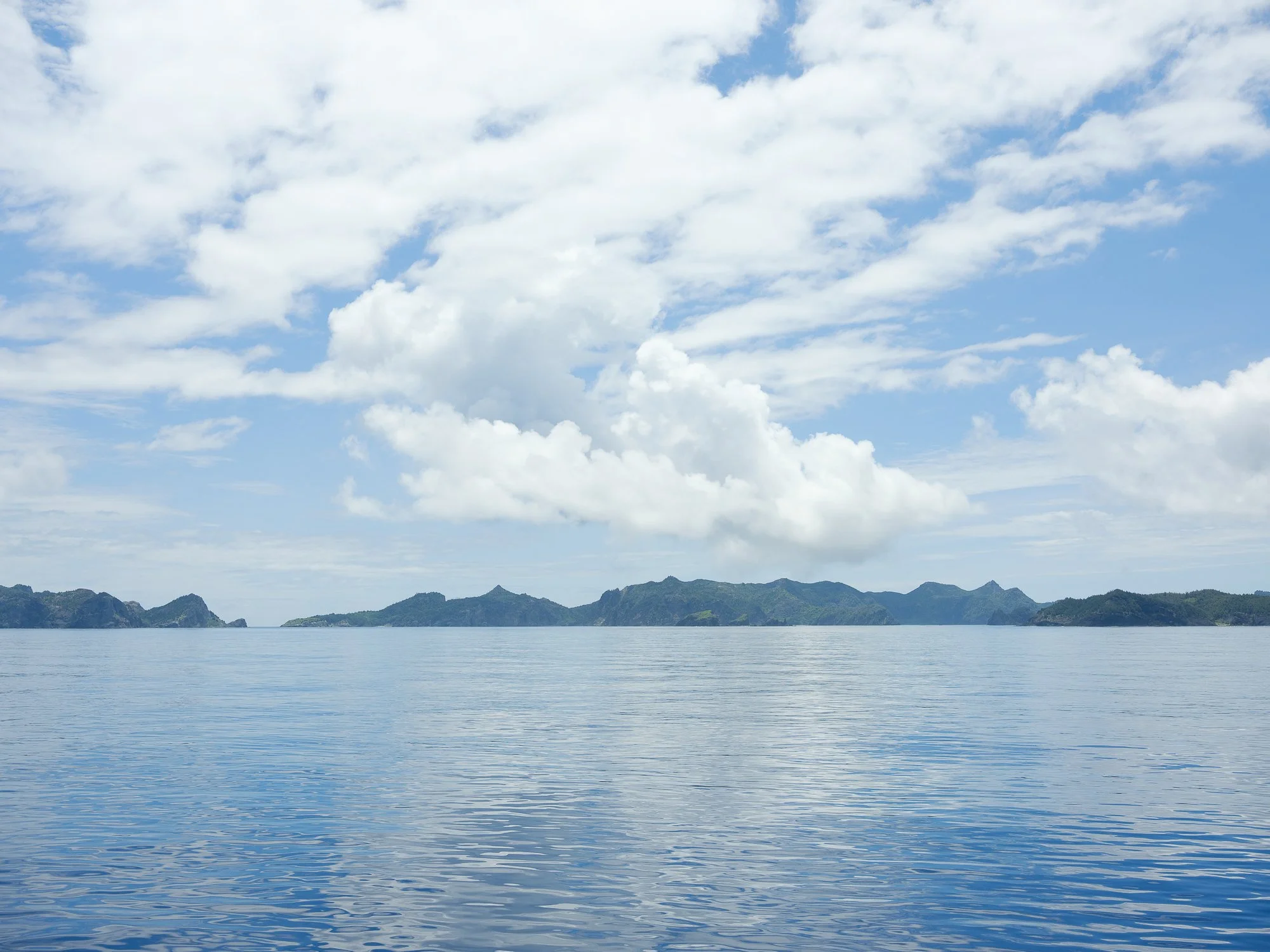 202606 Ogasawara-33.jpg