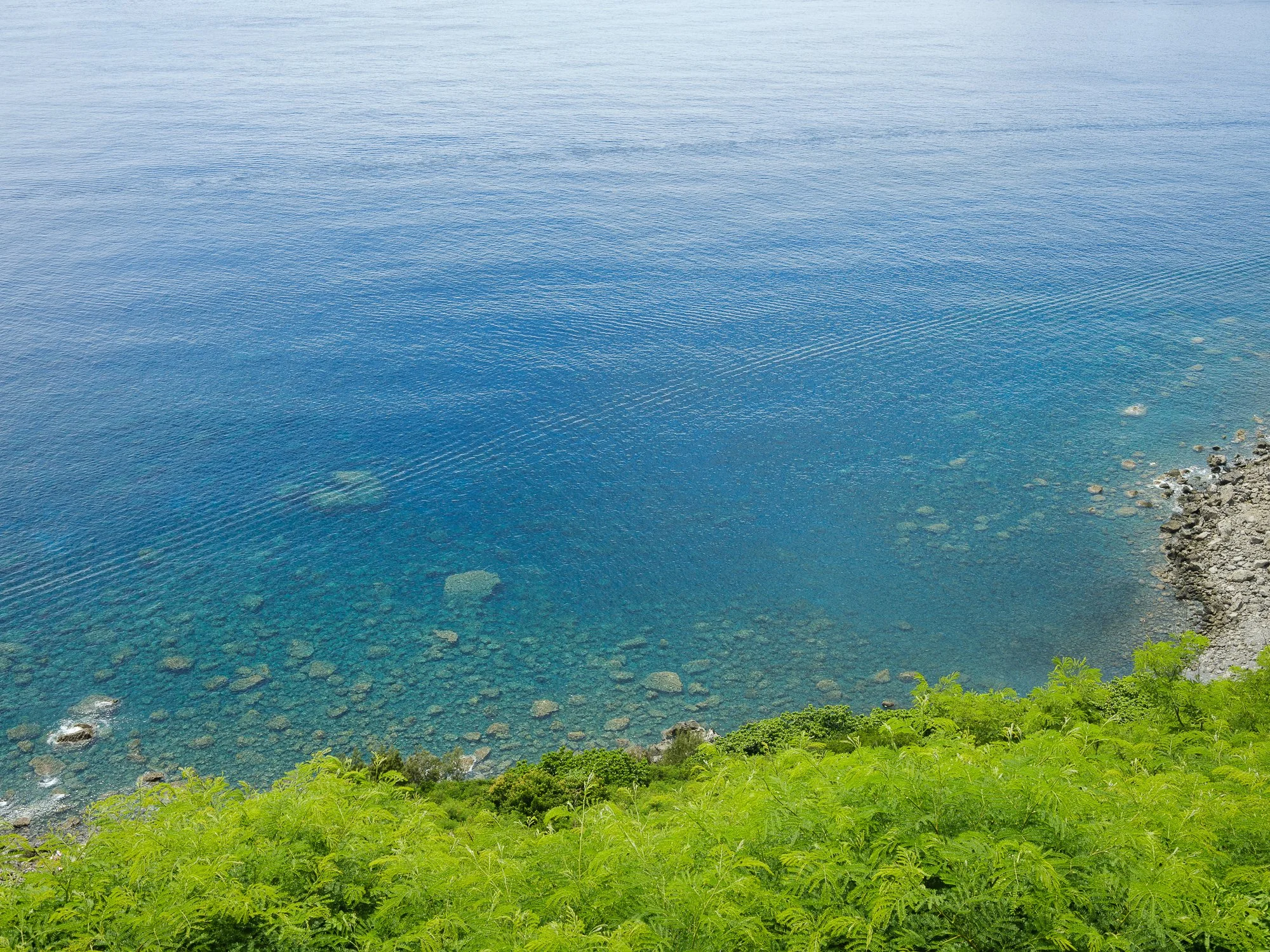 202606 Ogasawara-43.jpg