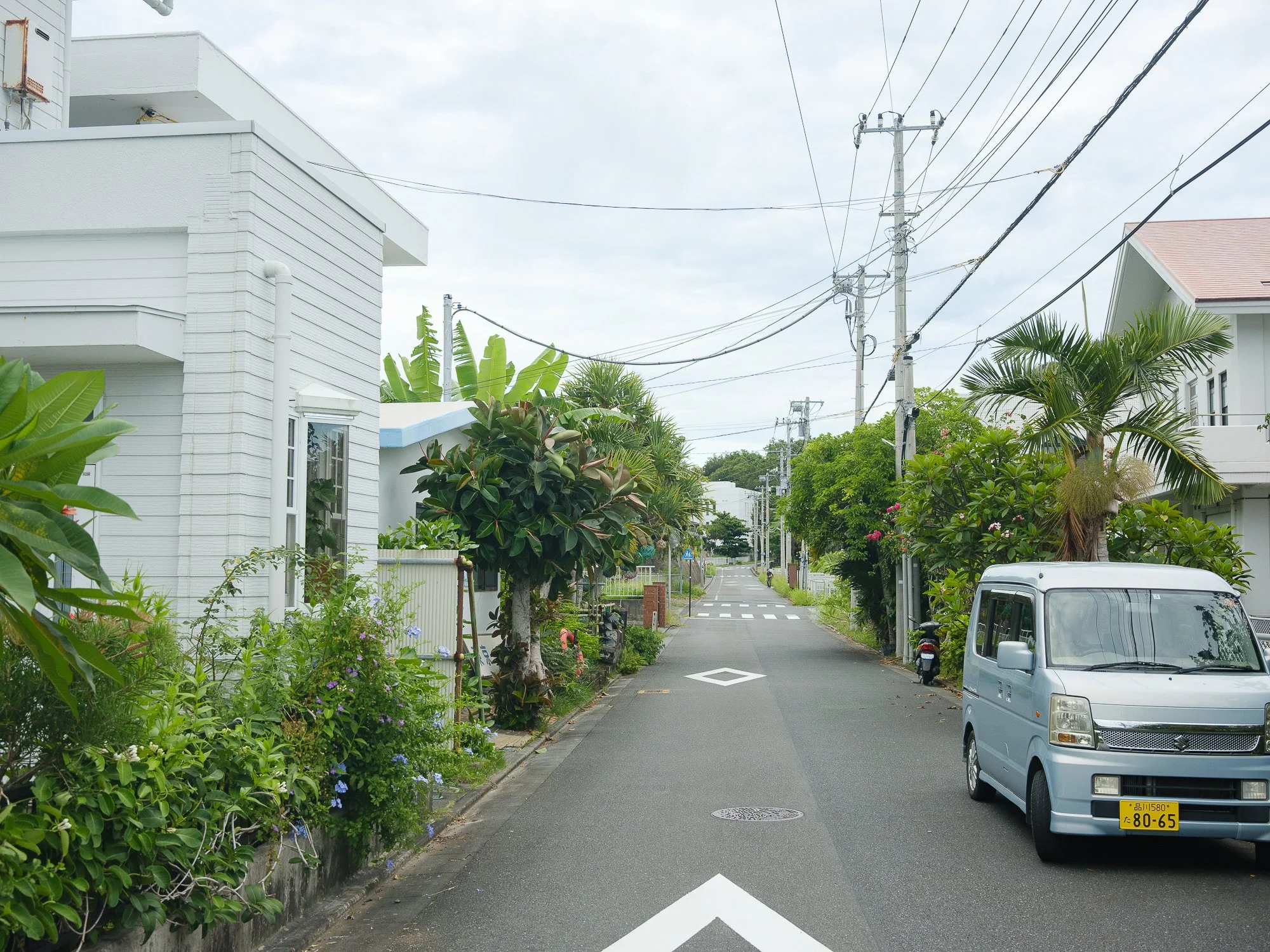 202606 Ogasawara-64.jpg