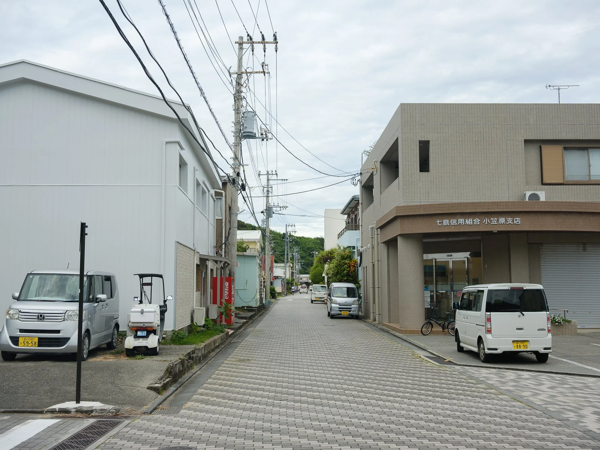 202606 Ogasawara-65.jpg