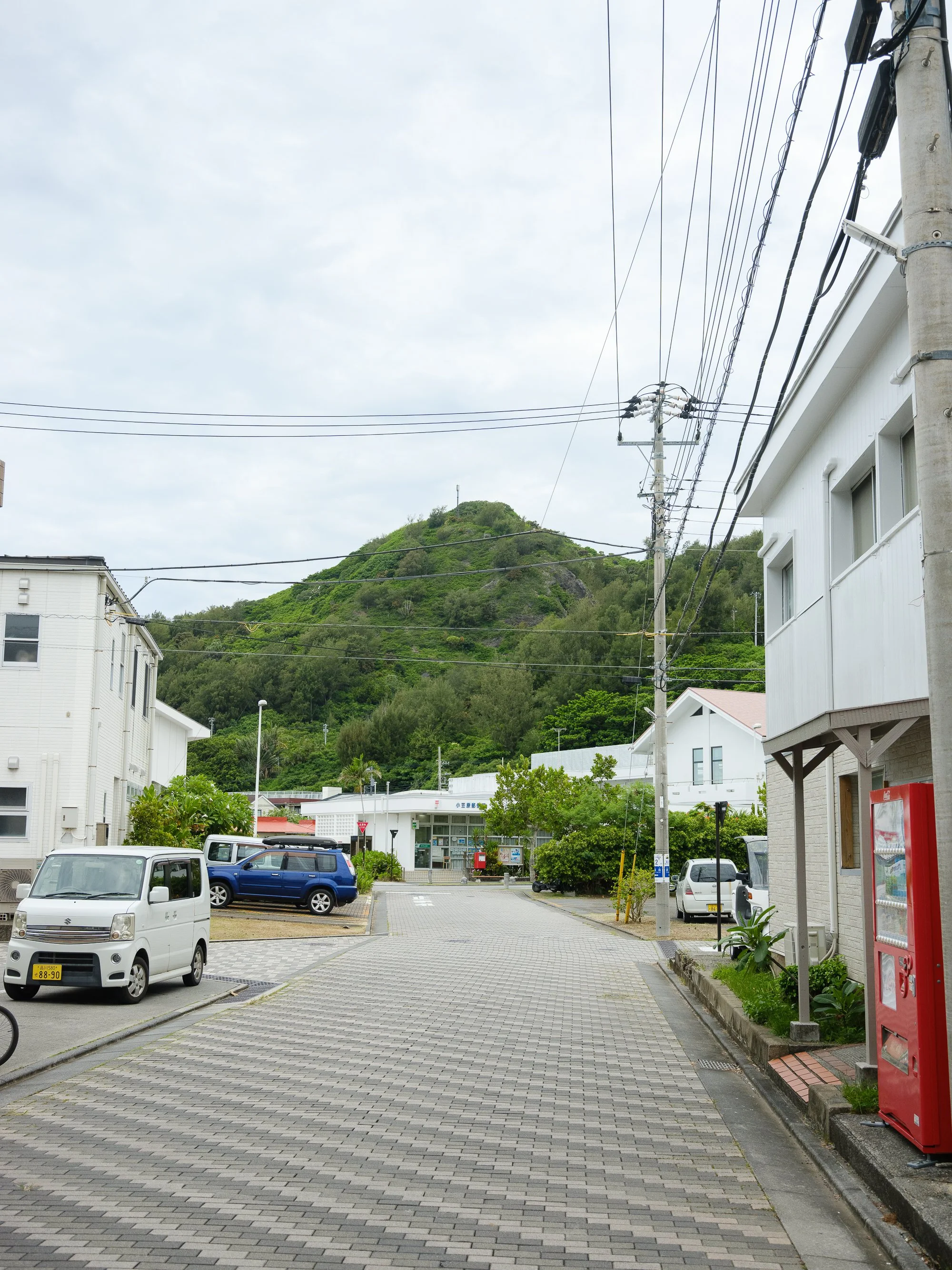 202606 Ogasawara-66.jpg