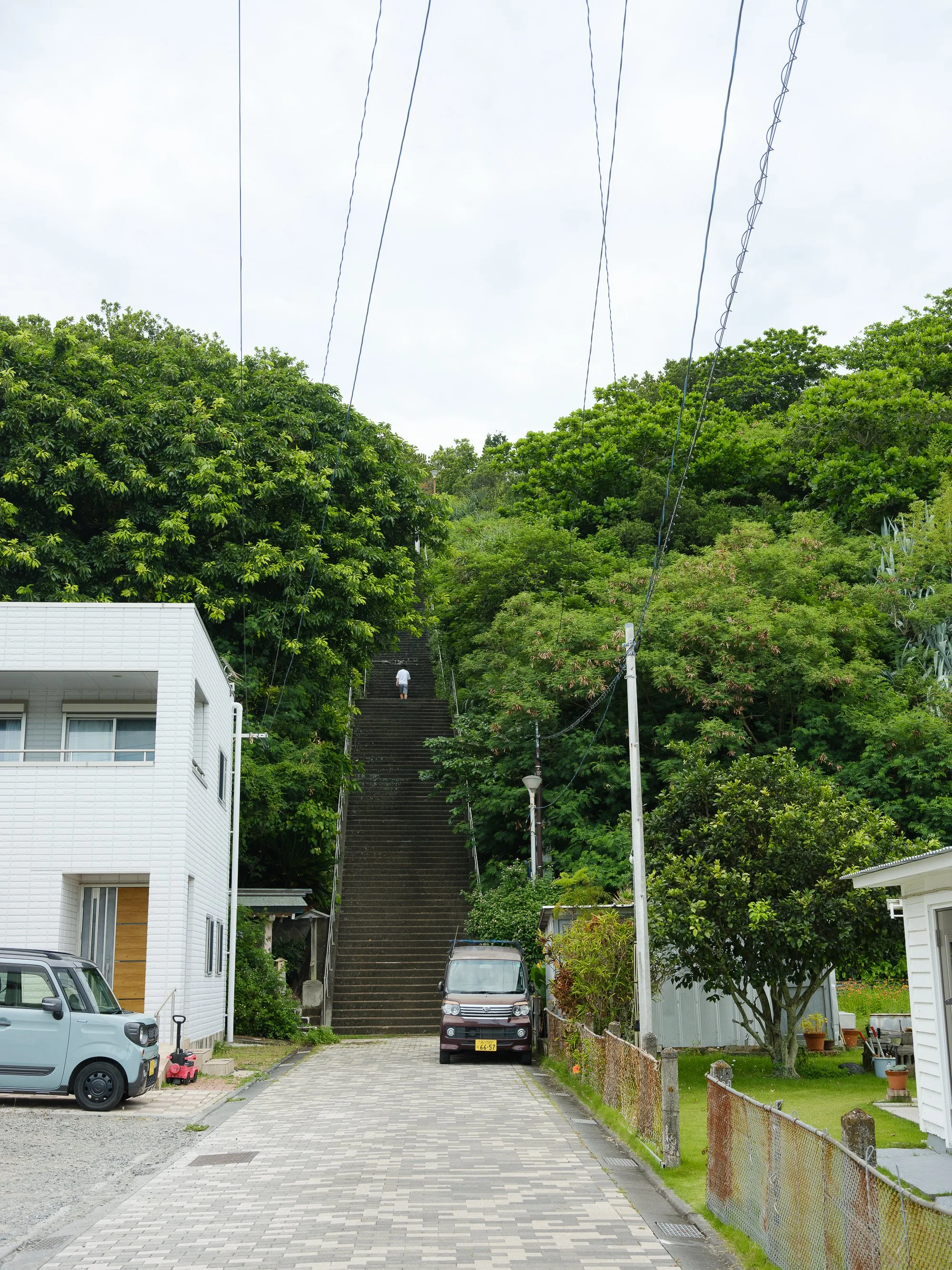 202606 Ogasawara-68.jpg