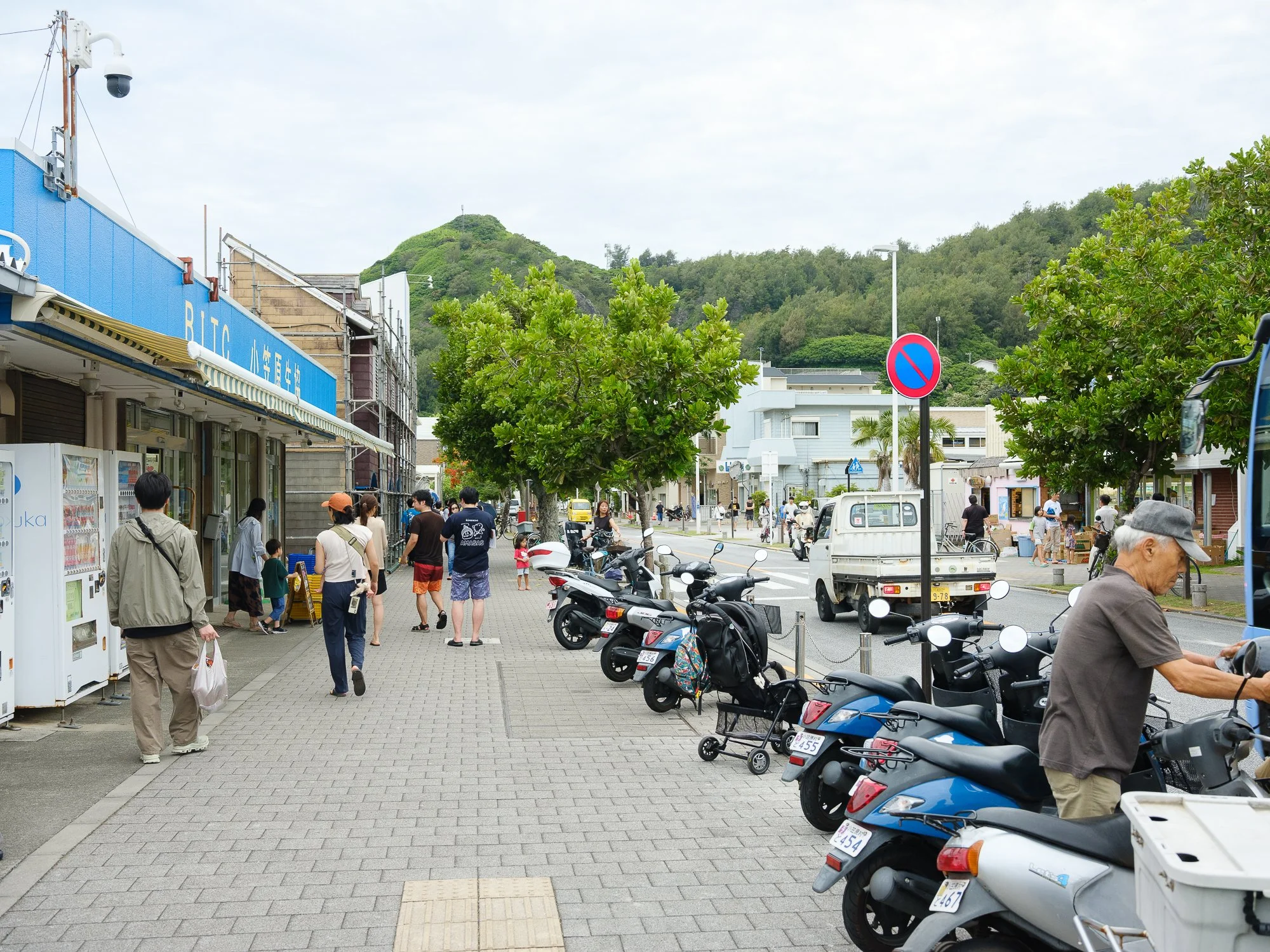 202606 Ogasawara-69.jpg