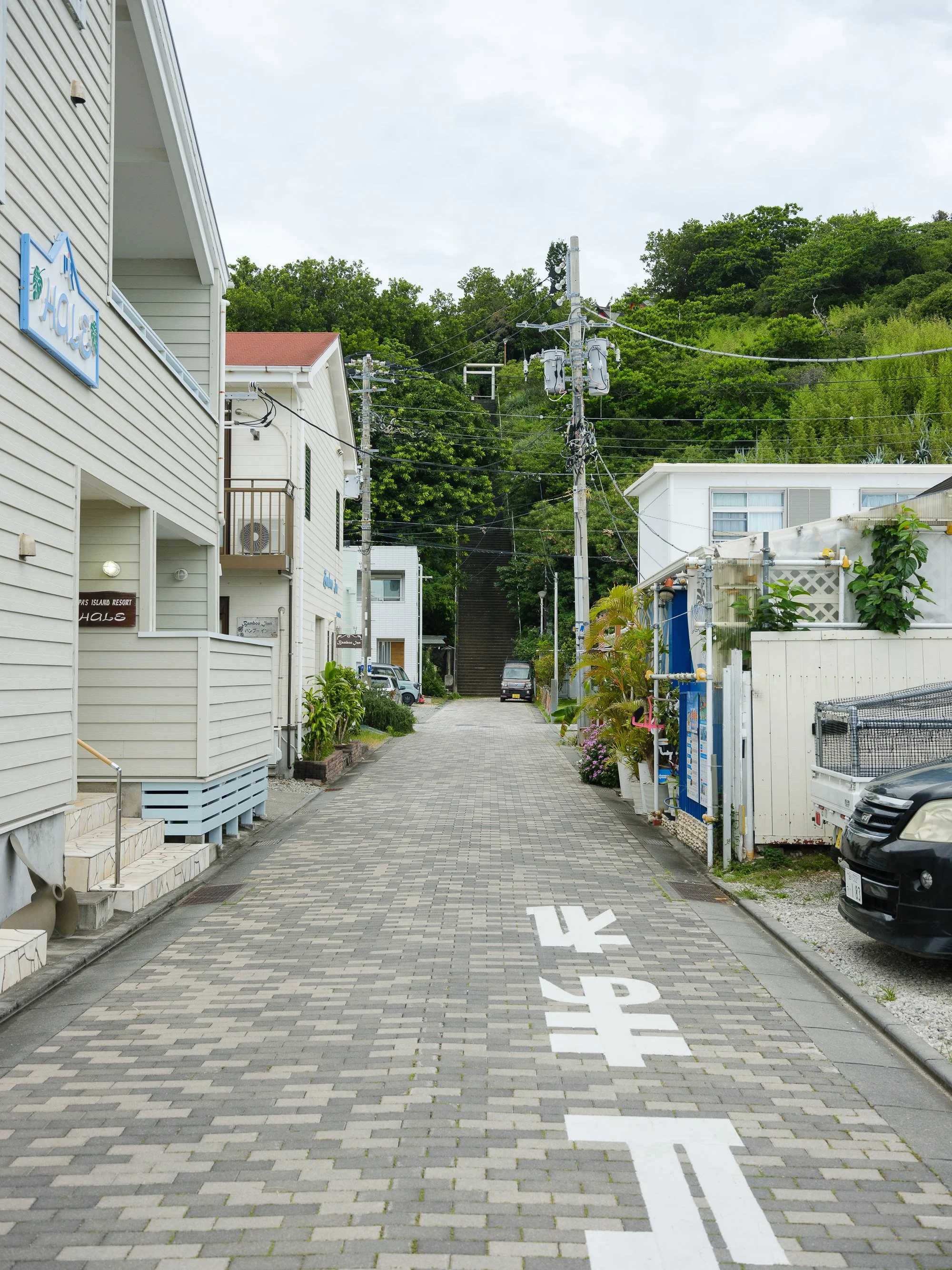 202606 Ogasawara-70.jpg
