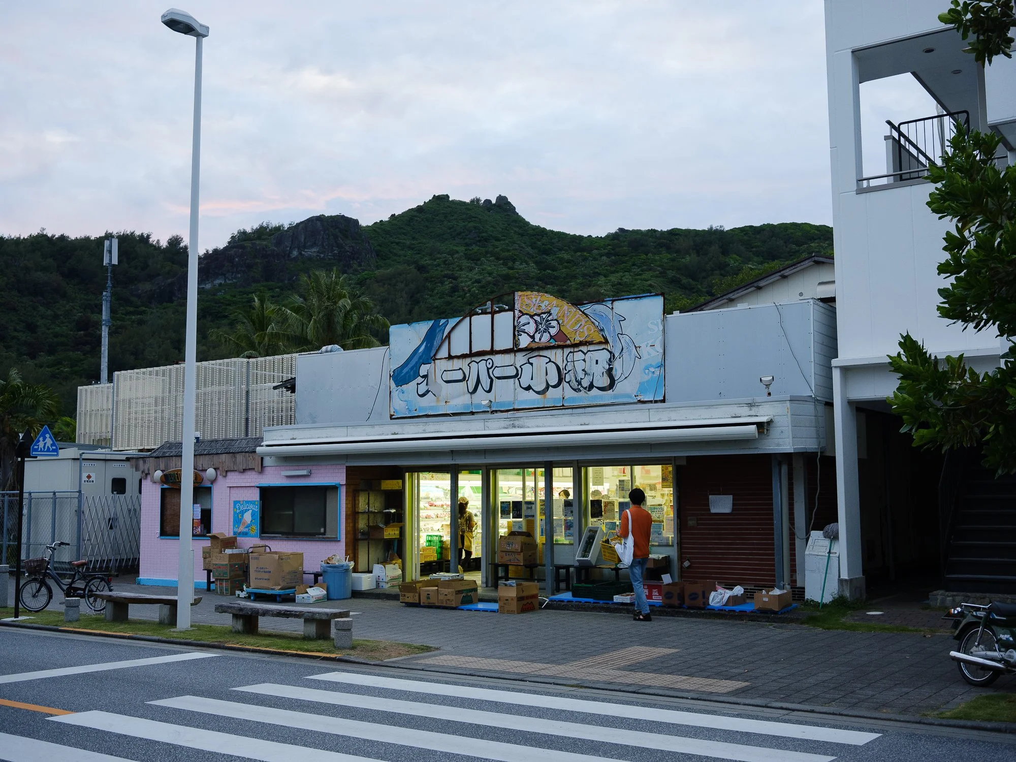 202606 Ogasawara-73.jpg