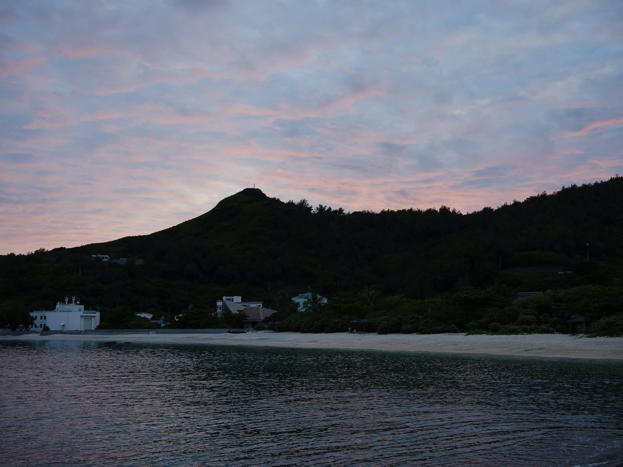 202606 Ogasawara-74.jpg