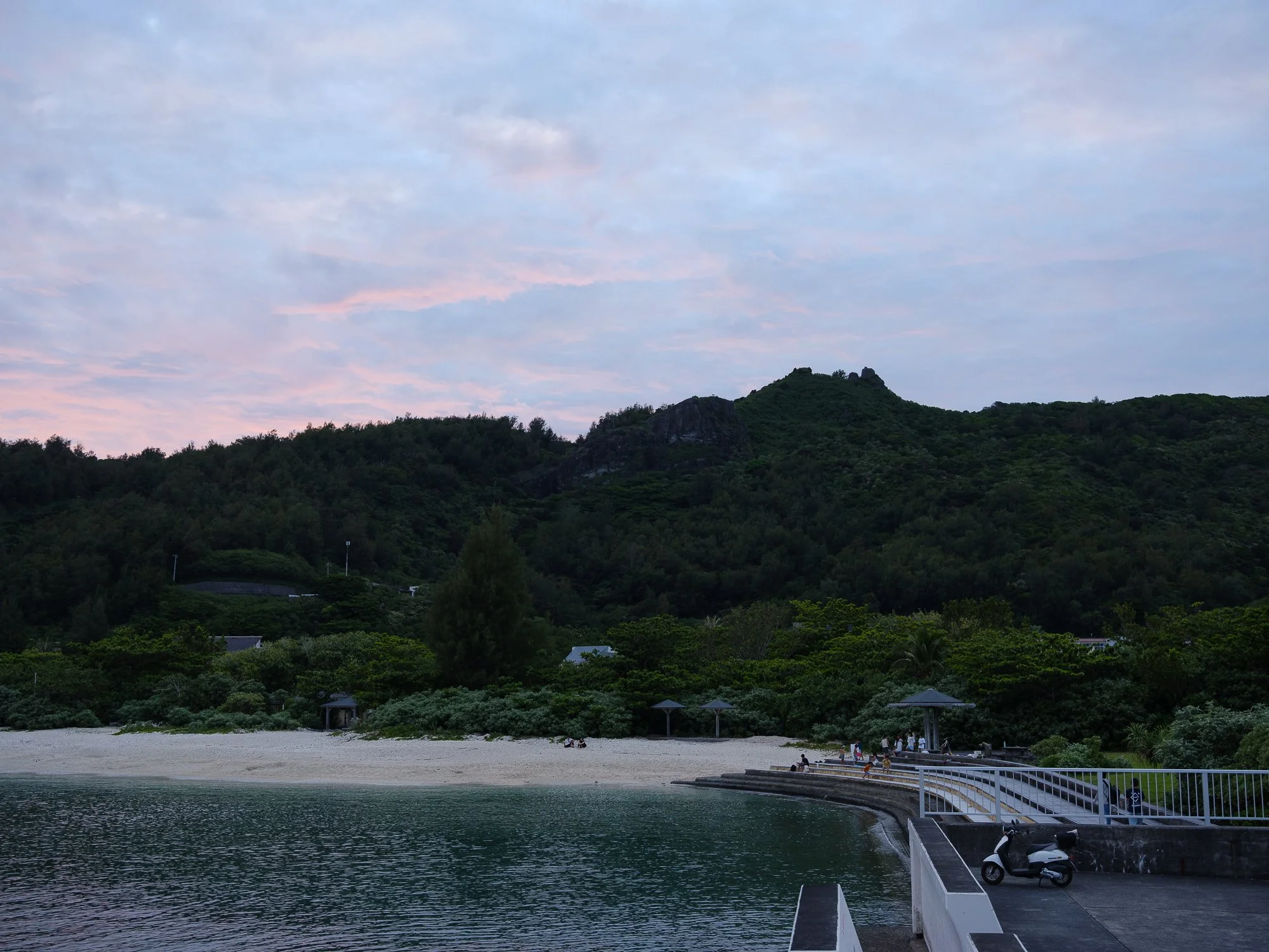 202606 Ogasawara-78.jpg