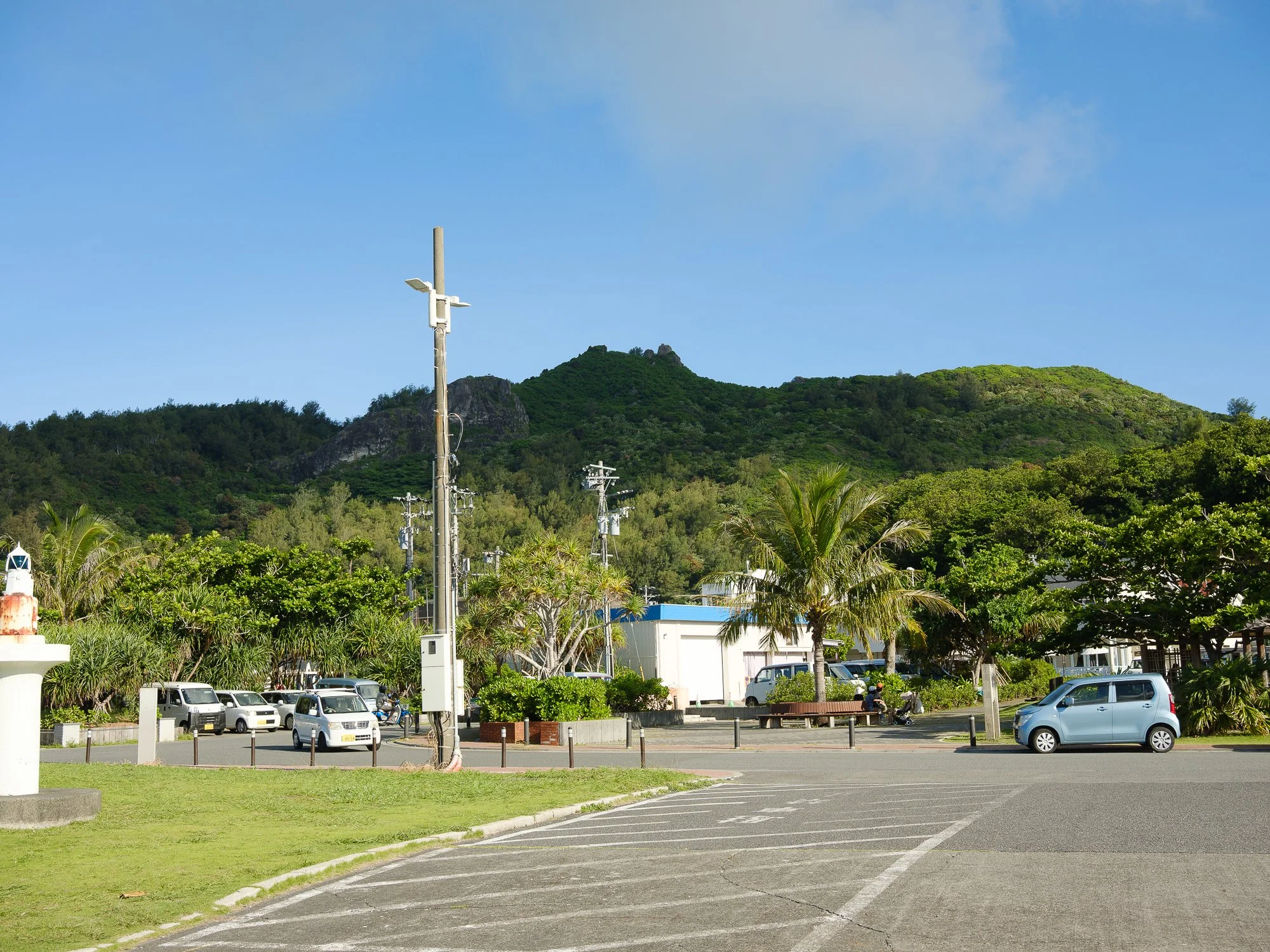 202606 Ogasawara-85.jpg