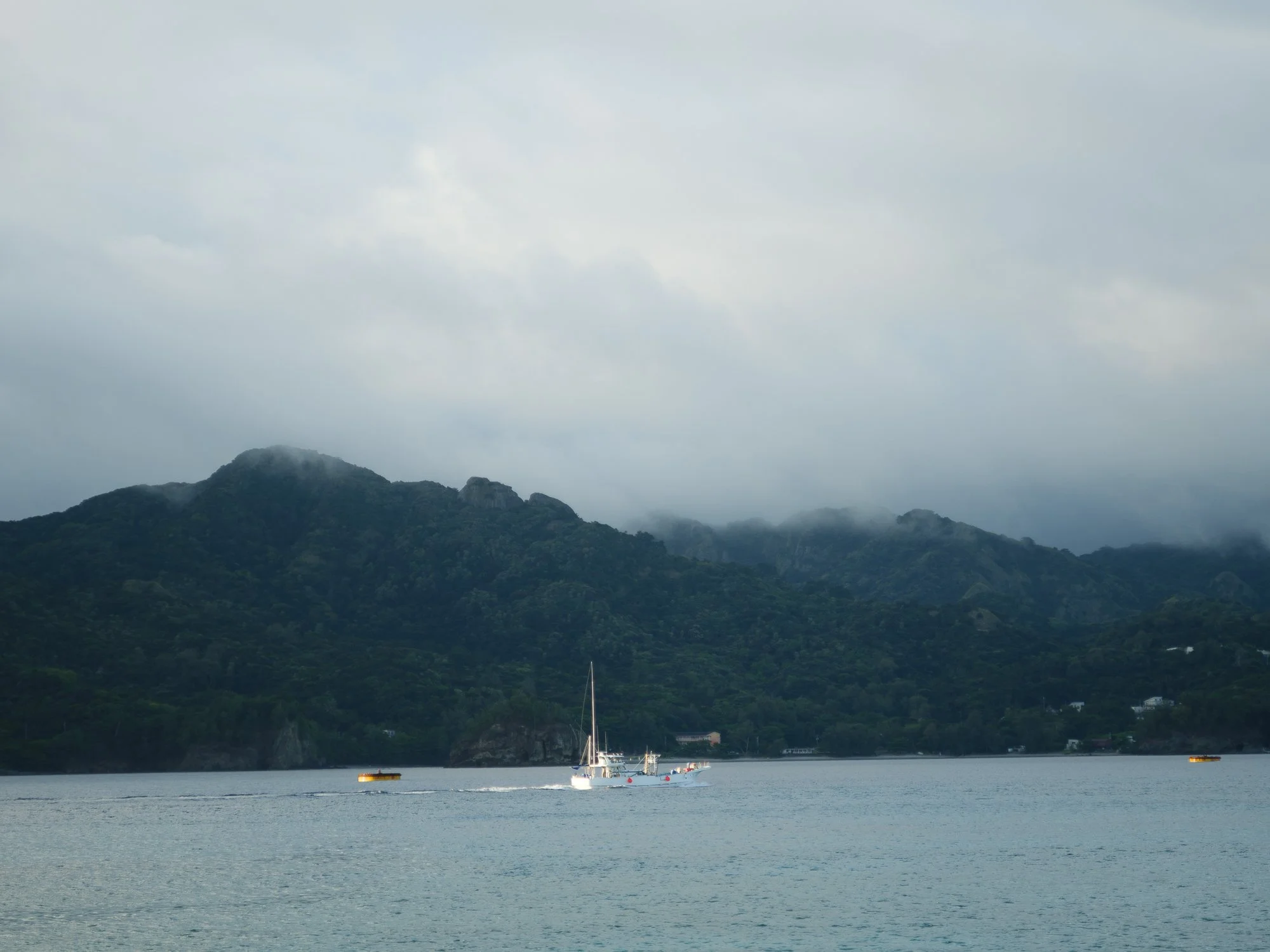 202606 Ogasawara-113.jpg