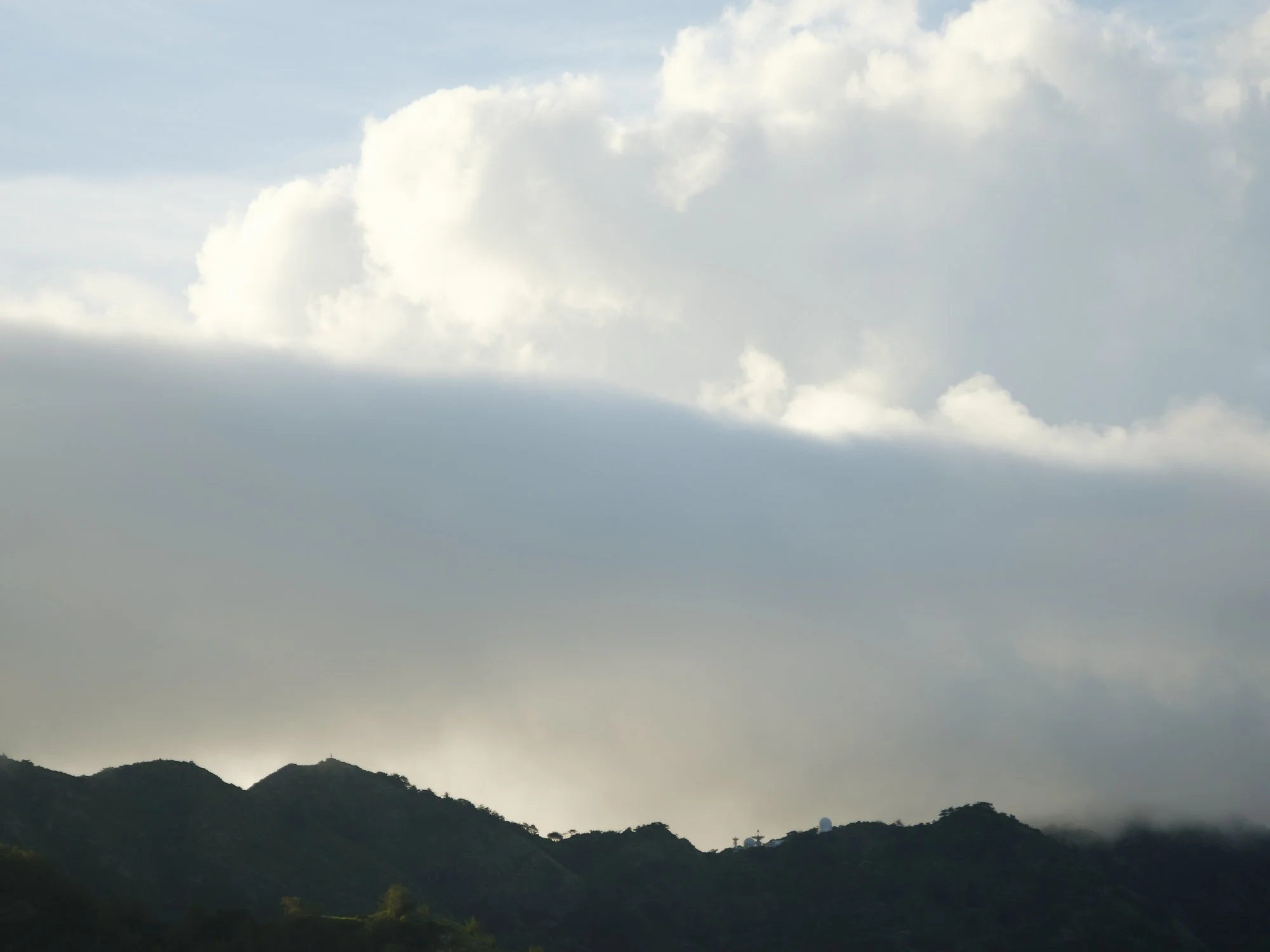 202606 Ogasawara-116.jpg
