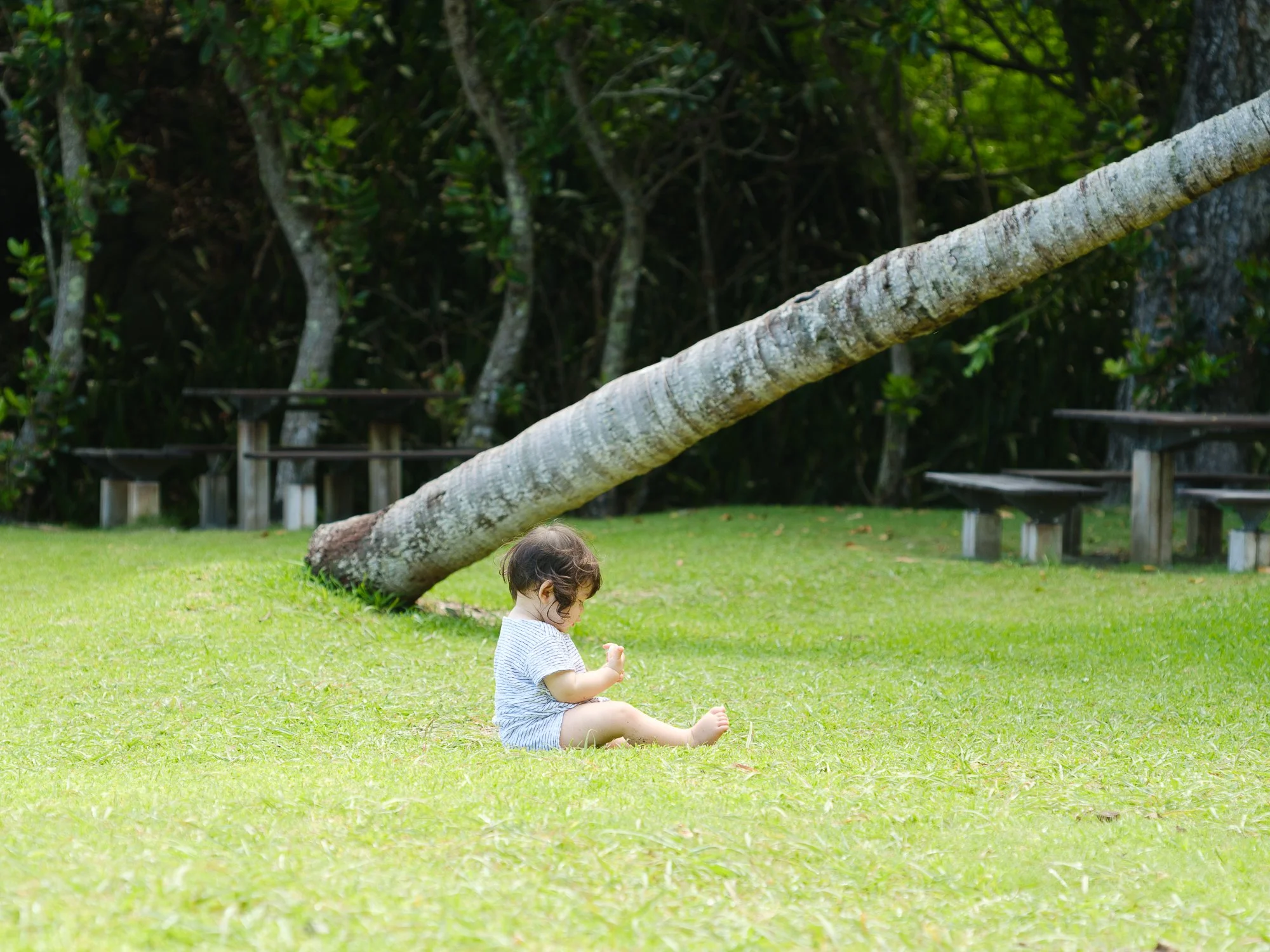 202606 Ogasawara-119.jpg