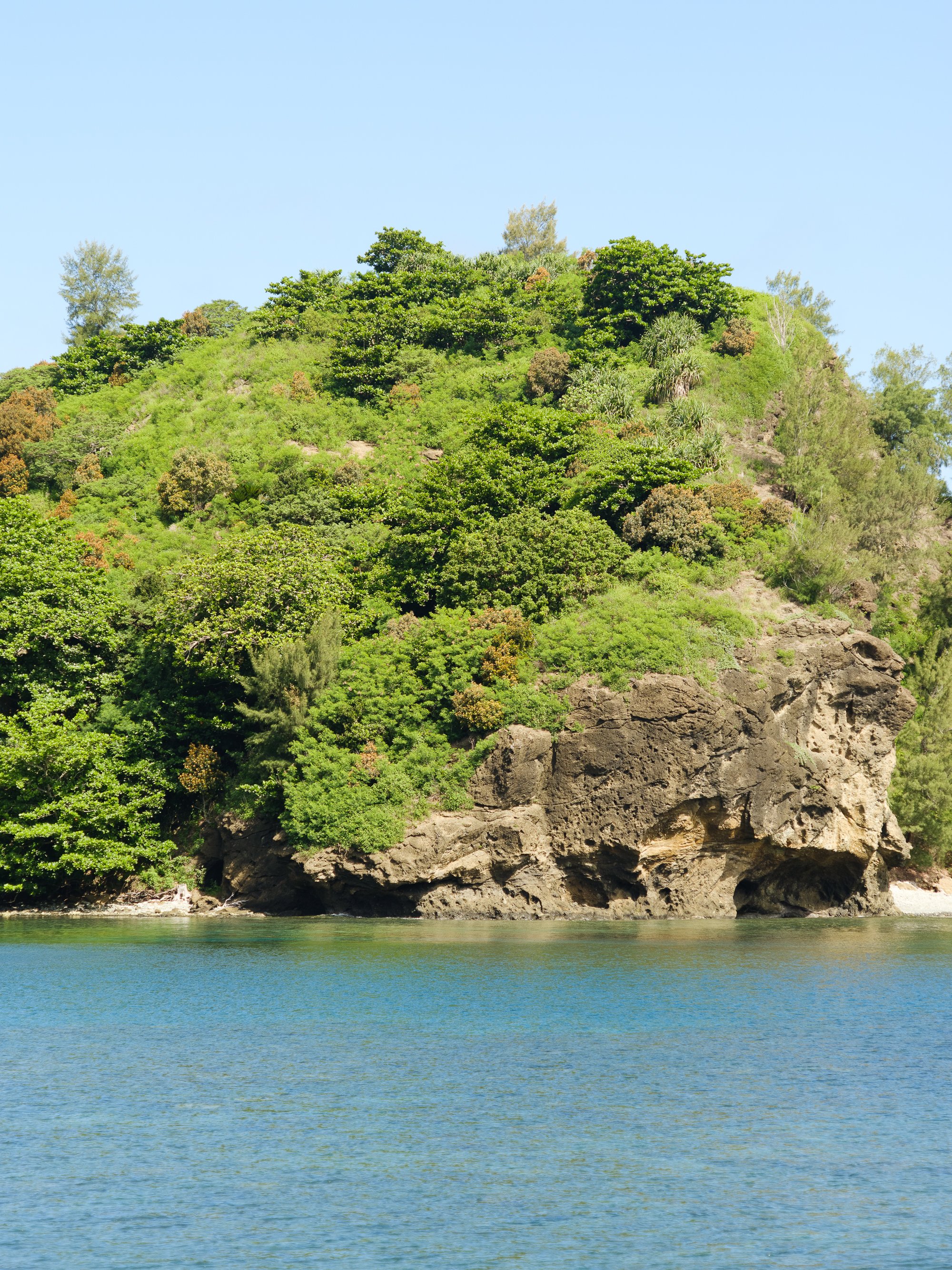 202606 Ogasawara-136.jpg