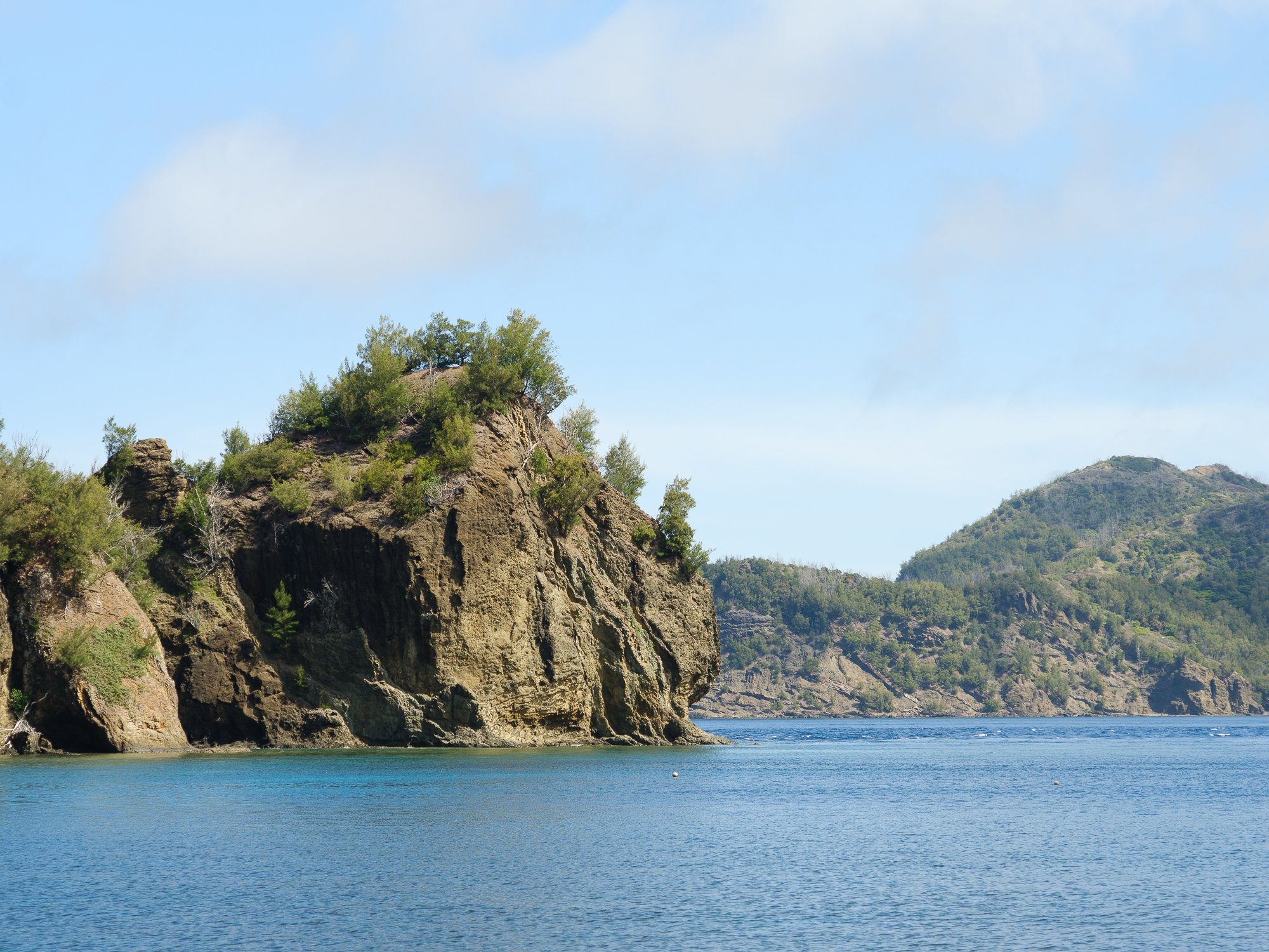 202606 Ogasawara-137.jpg