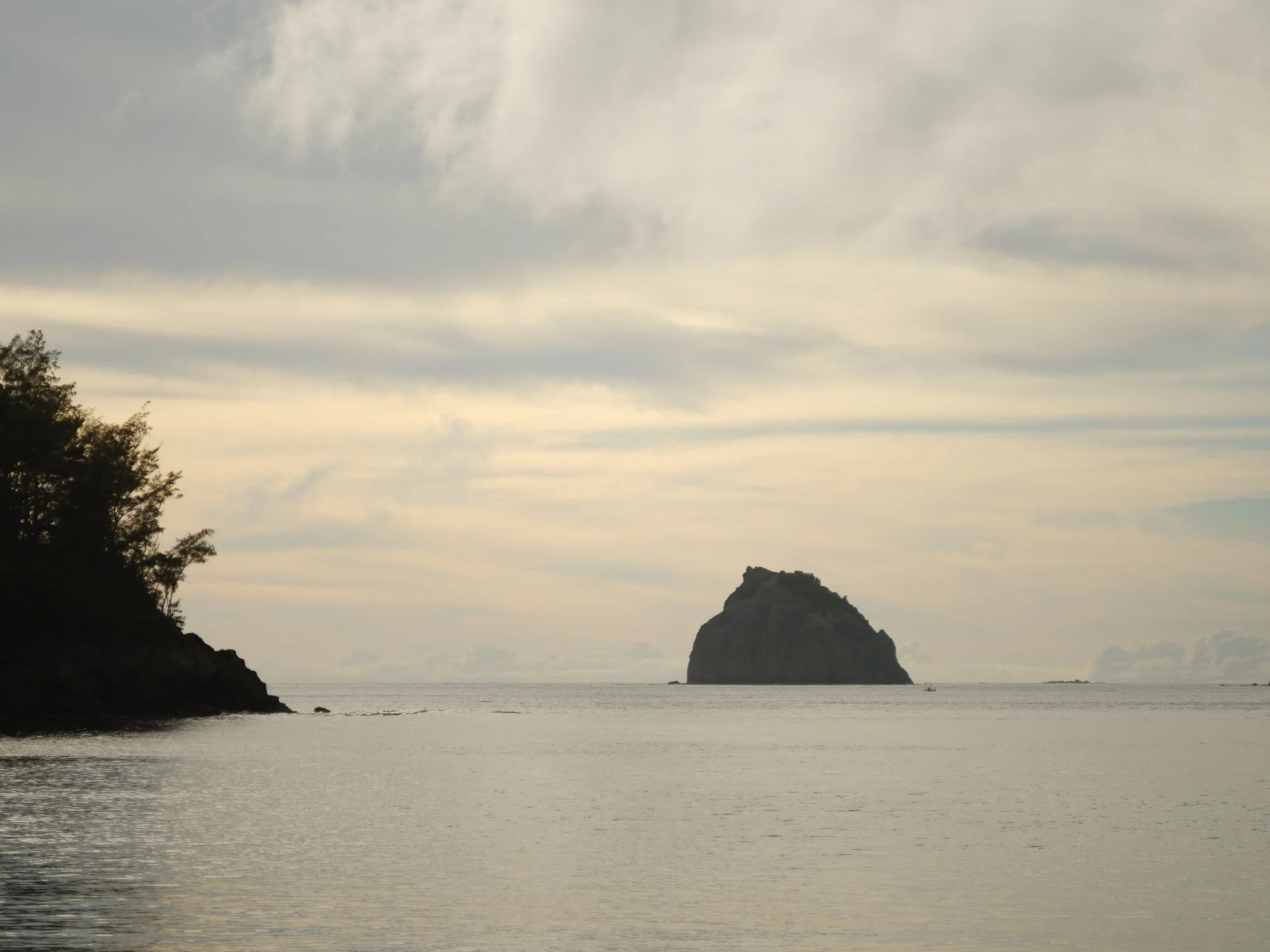202606 Ogasawara-138.jpg