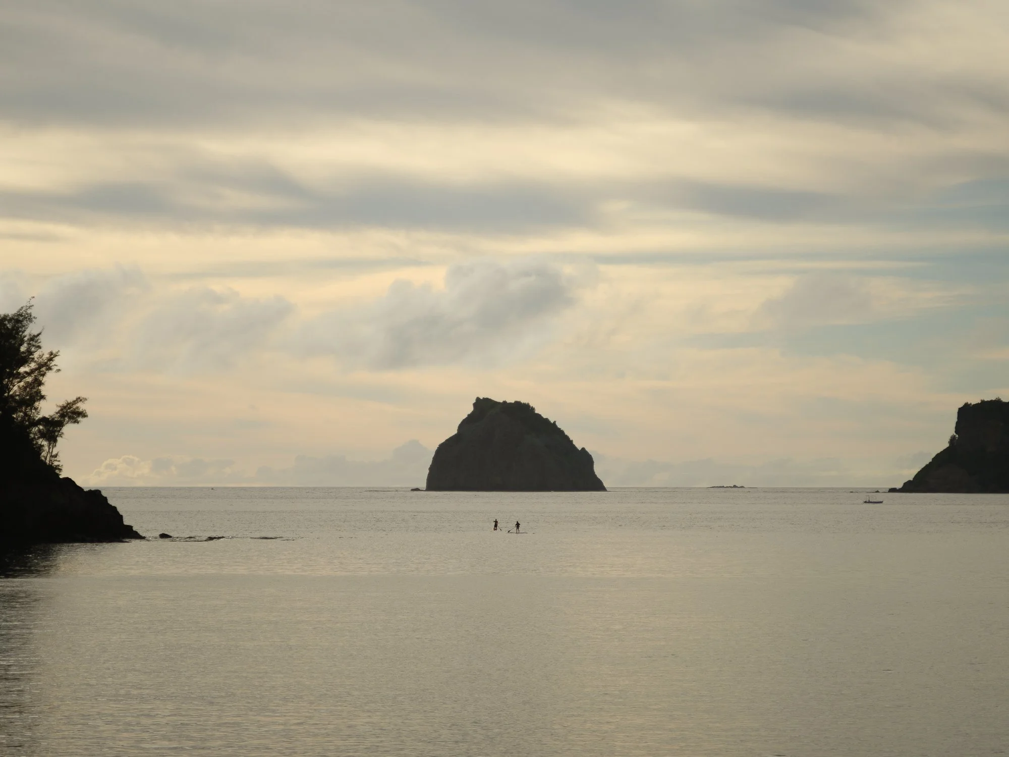 202606 Ogasawara-145.jpg