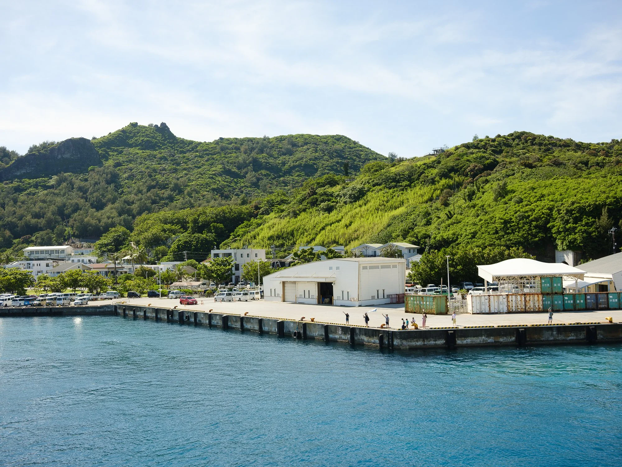 202606 Ogasawara-149.jpg