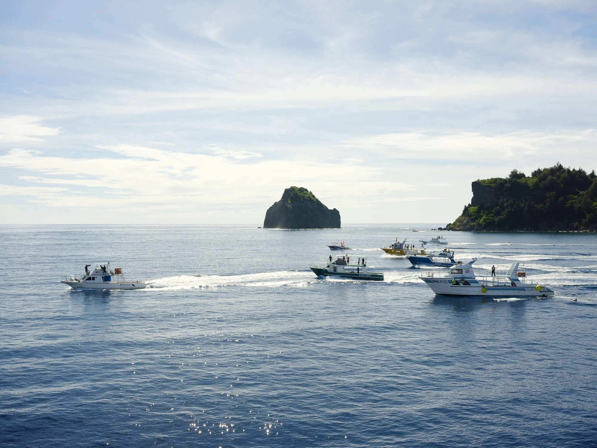 202606 Ogasawara-155.jpg