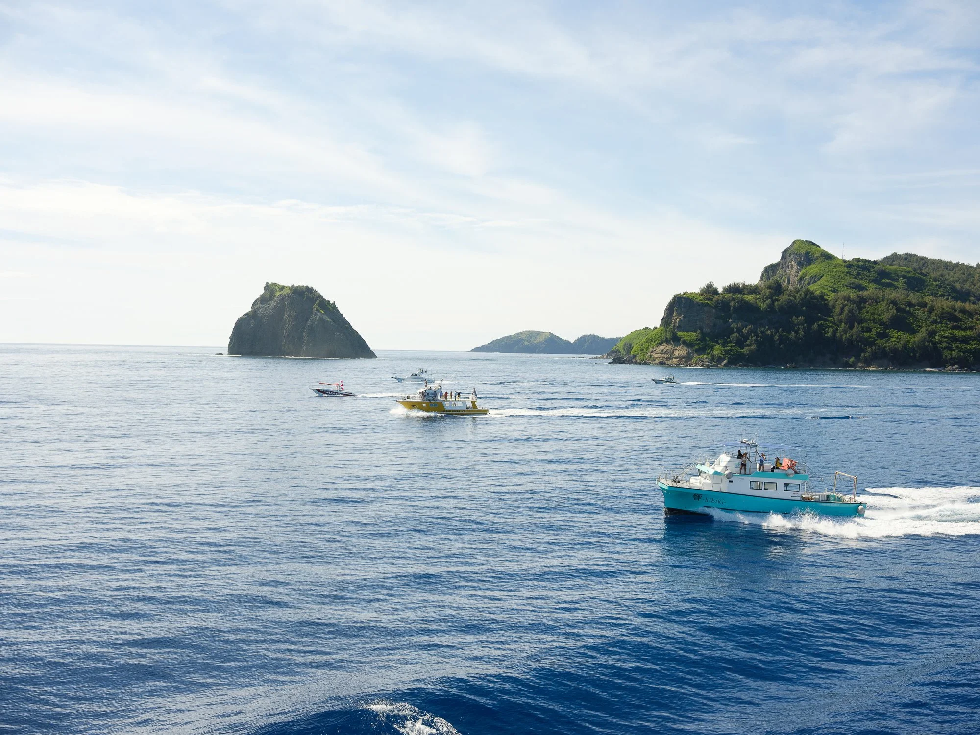 202606 Ogasawara-159.jpg
