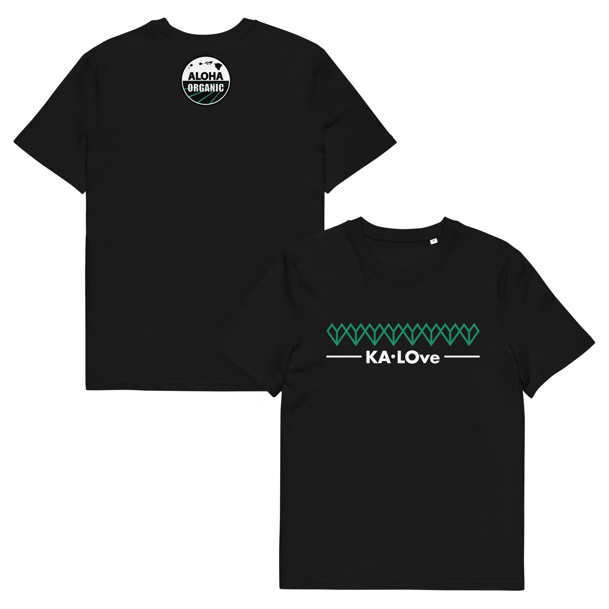 unisex-organic-cotton-creator-2.0-t-shirt-black-front-and-back-6ad3ec5443c4a.jpg