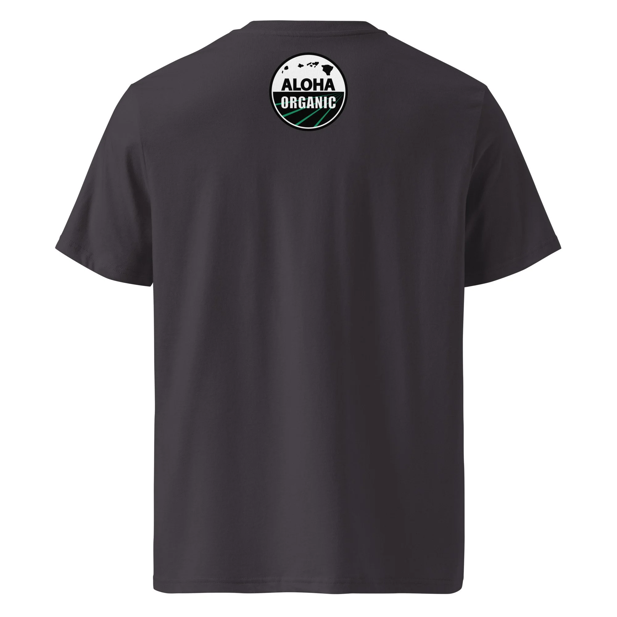 unisex-organic-cotton-creator-2.0-t-shirt-anthracite-back-6ad73d496d69c.jpg