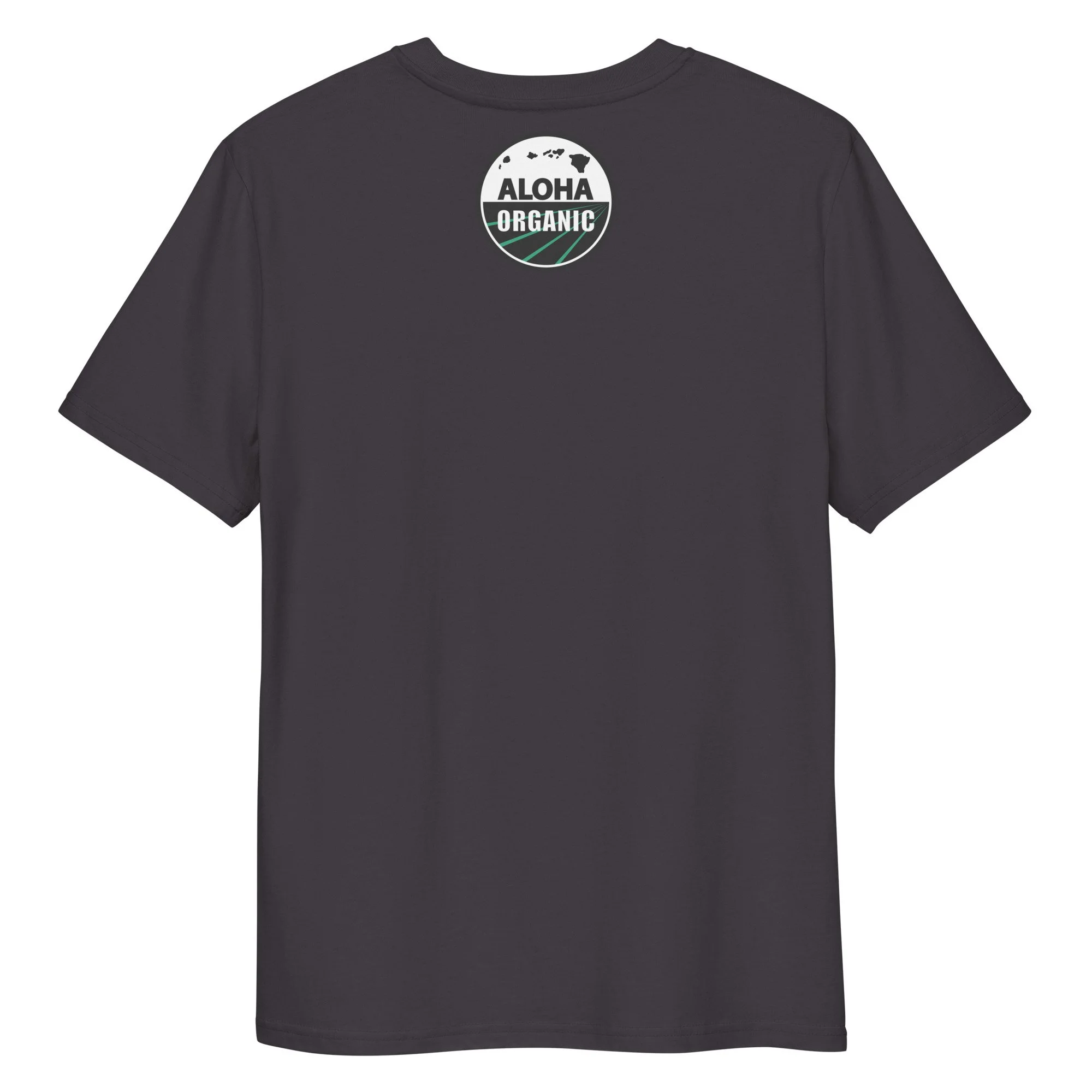 unisex-organic-cotton-creator-2.0-t-shirt-anthracite-back-6ad746016b090.jpg