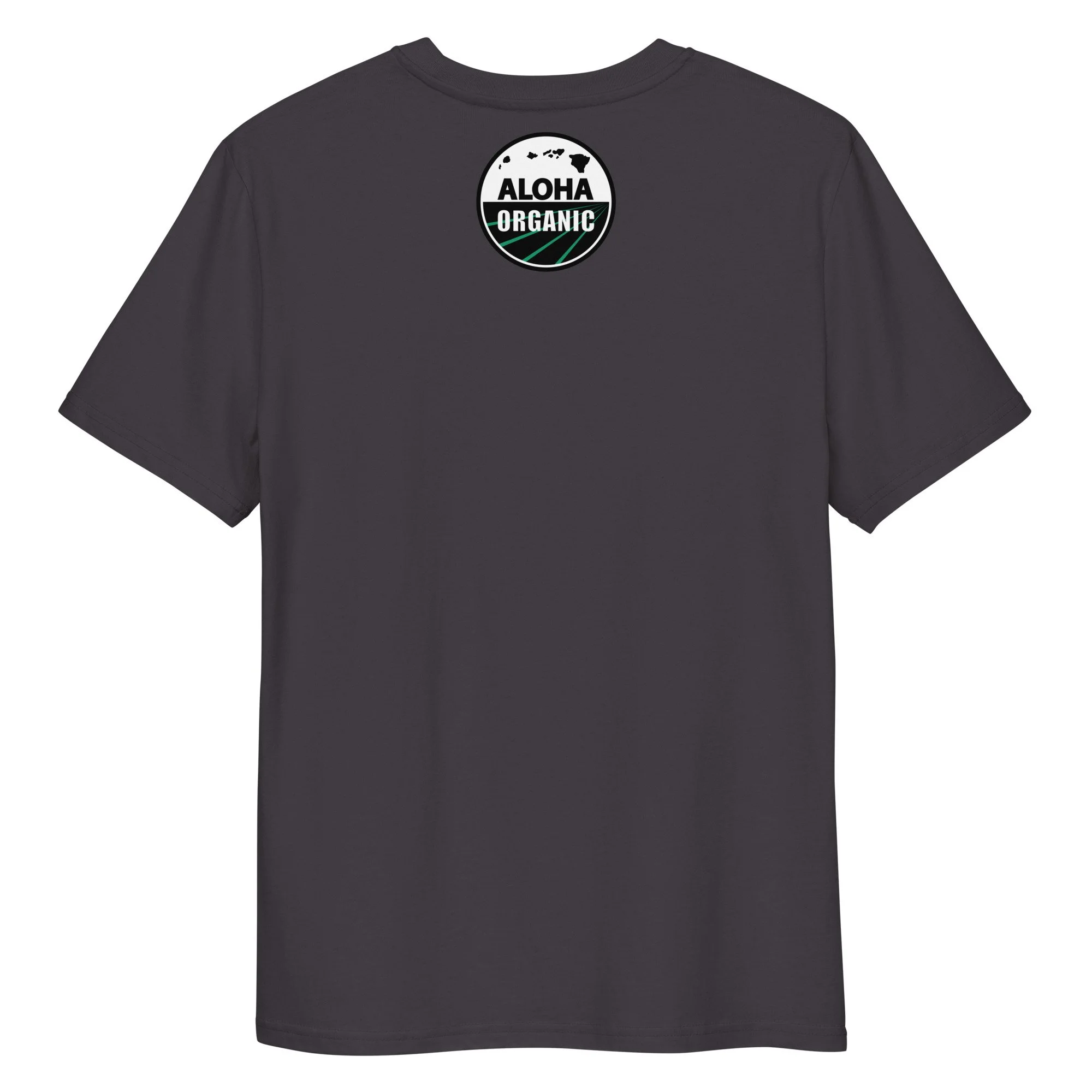 unisex-organic-cotton-creator-2.0-t-shirt-anthracite-back-6ad7463a0131f.jpg