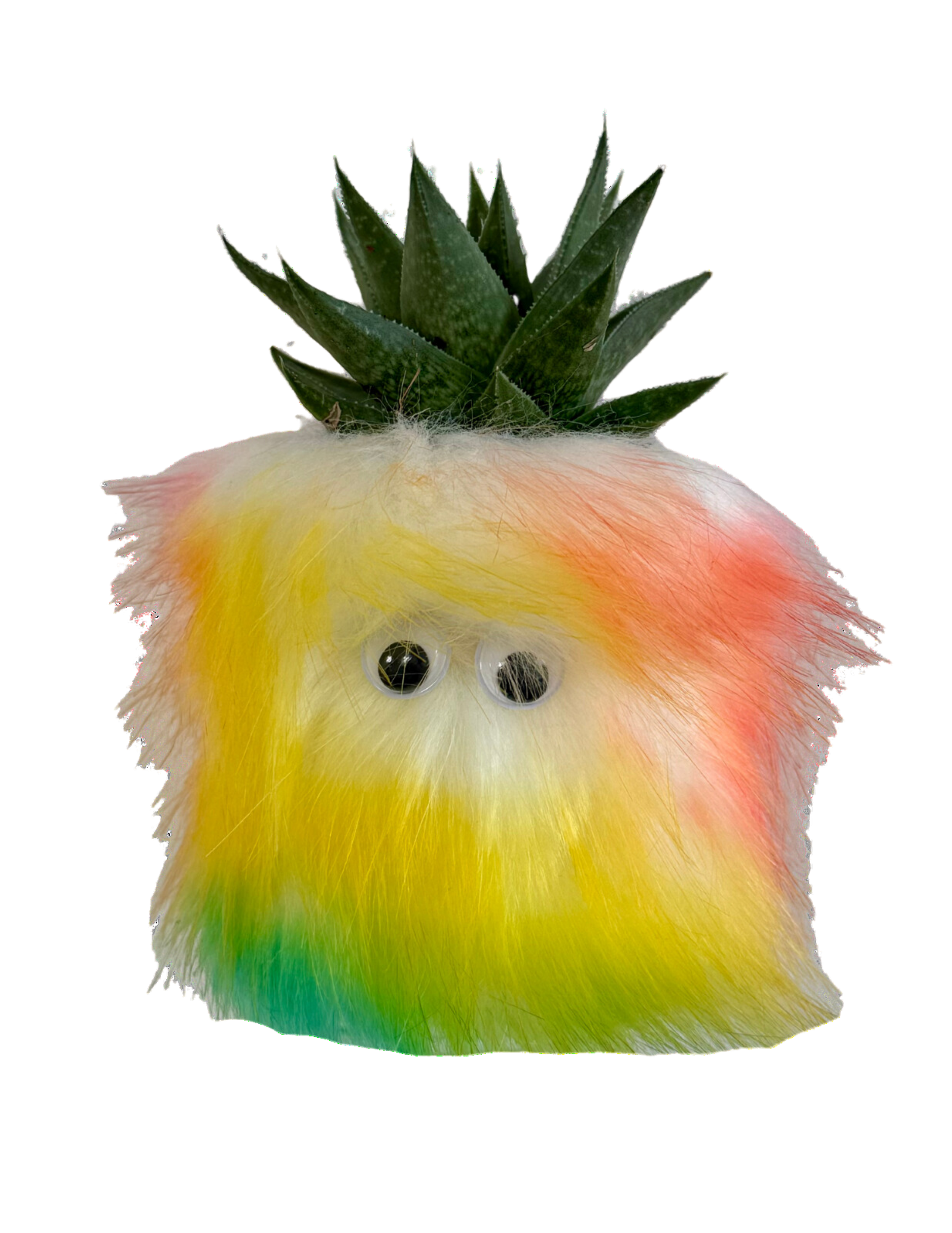 64.png