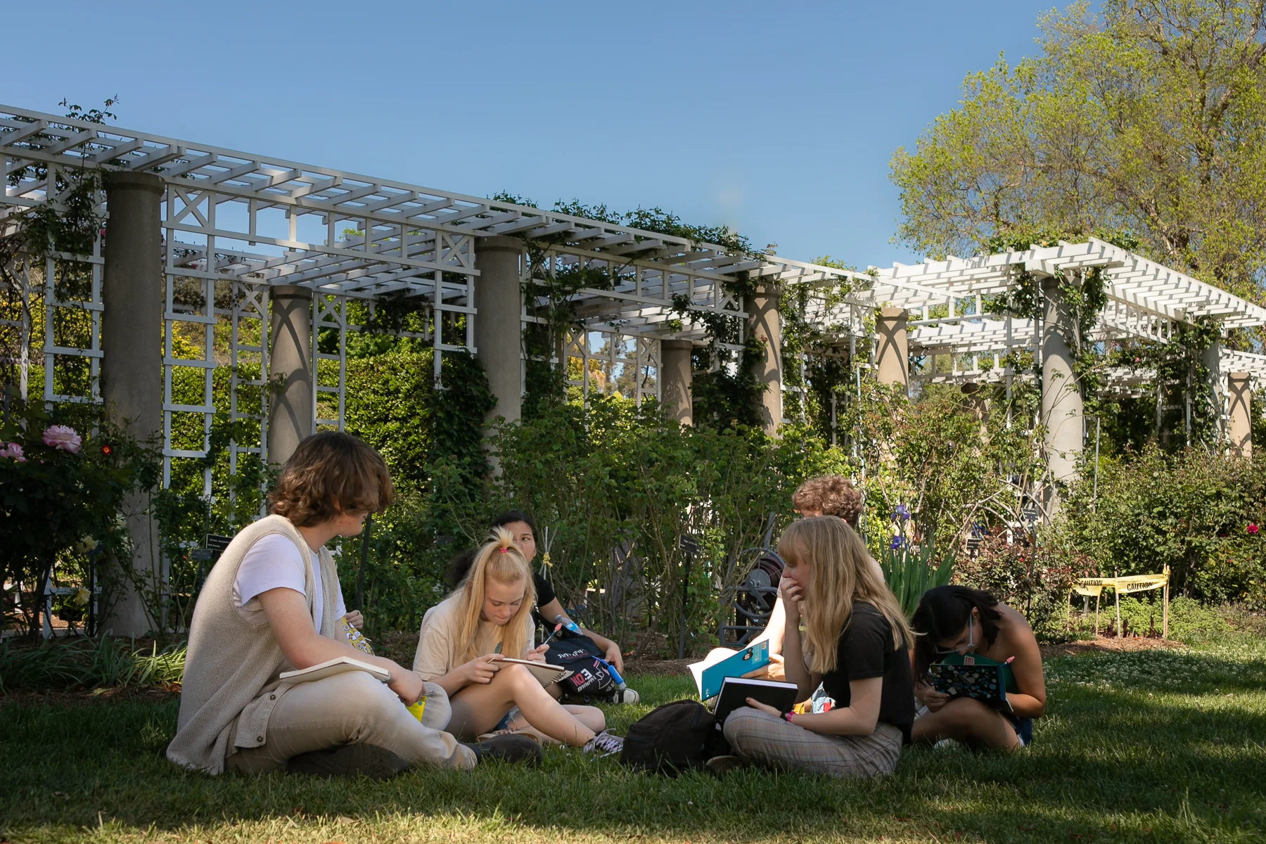 Community Arts Partnership at Huntington Gardens, Pasadena CA