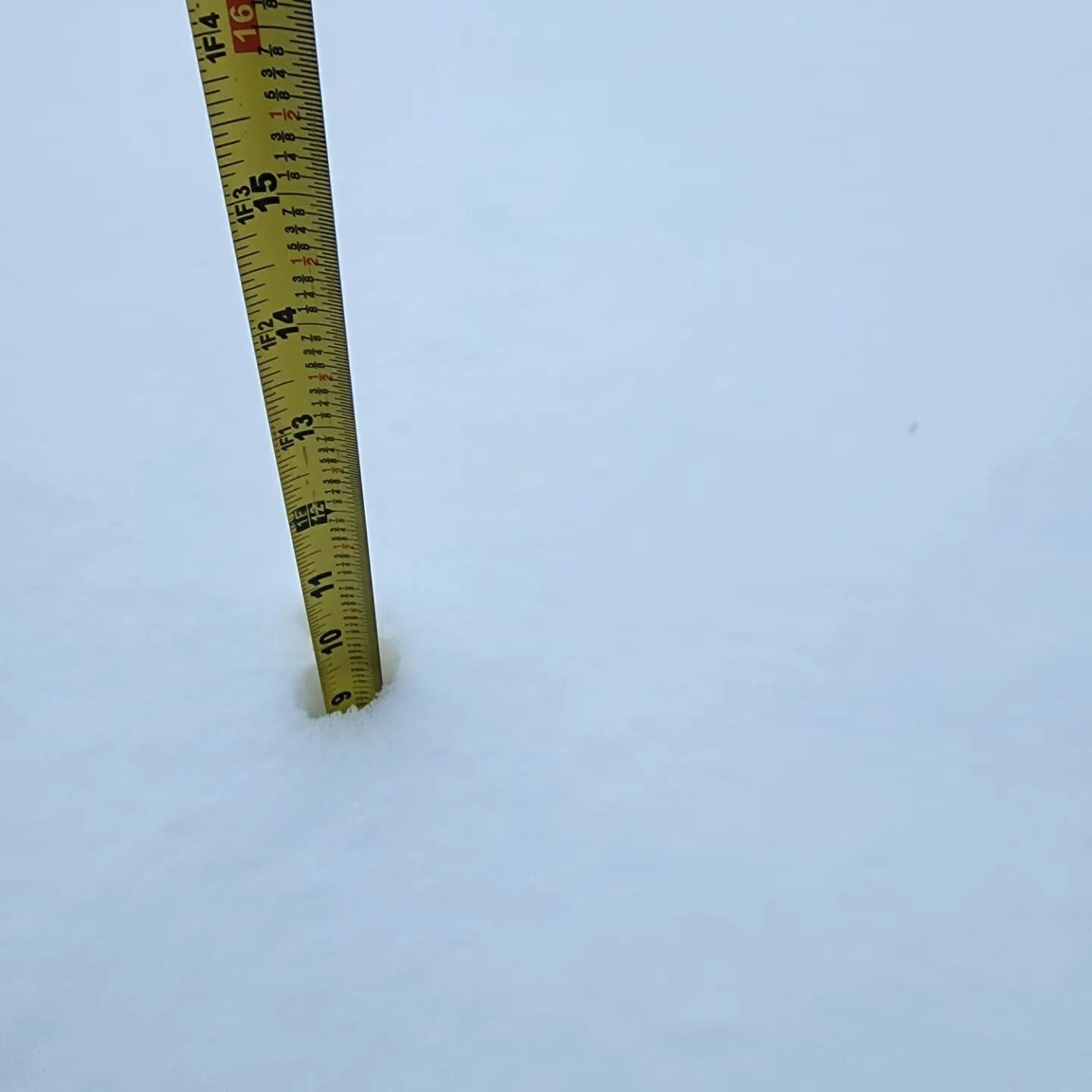 Unexpectedly we got 10&quot; of snow, so naturally the boys and neighborhood had to play in it.