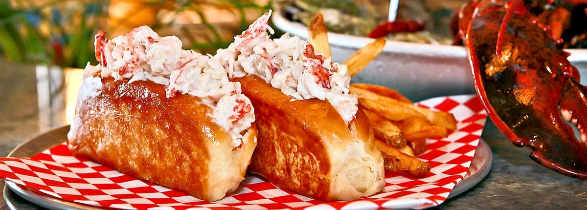 DOS FOOD 1.jpg