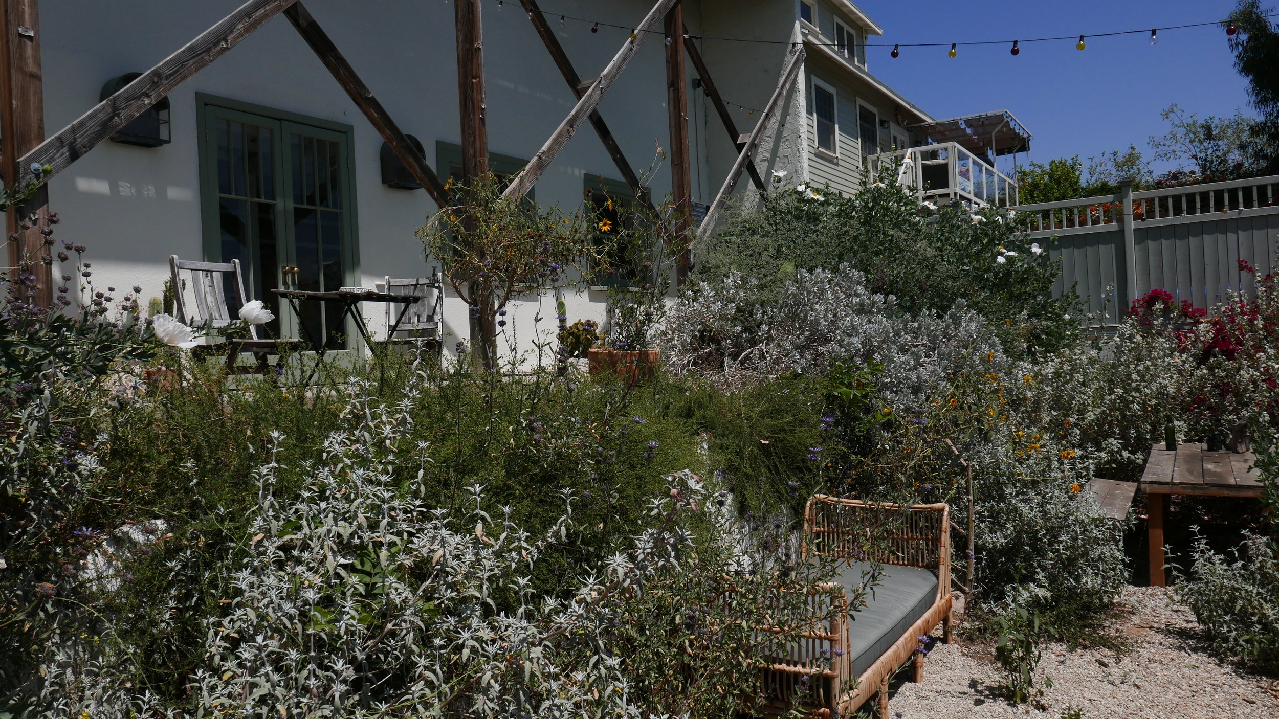 P1000853.JPG