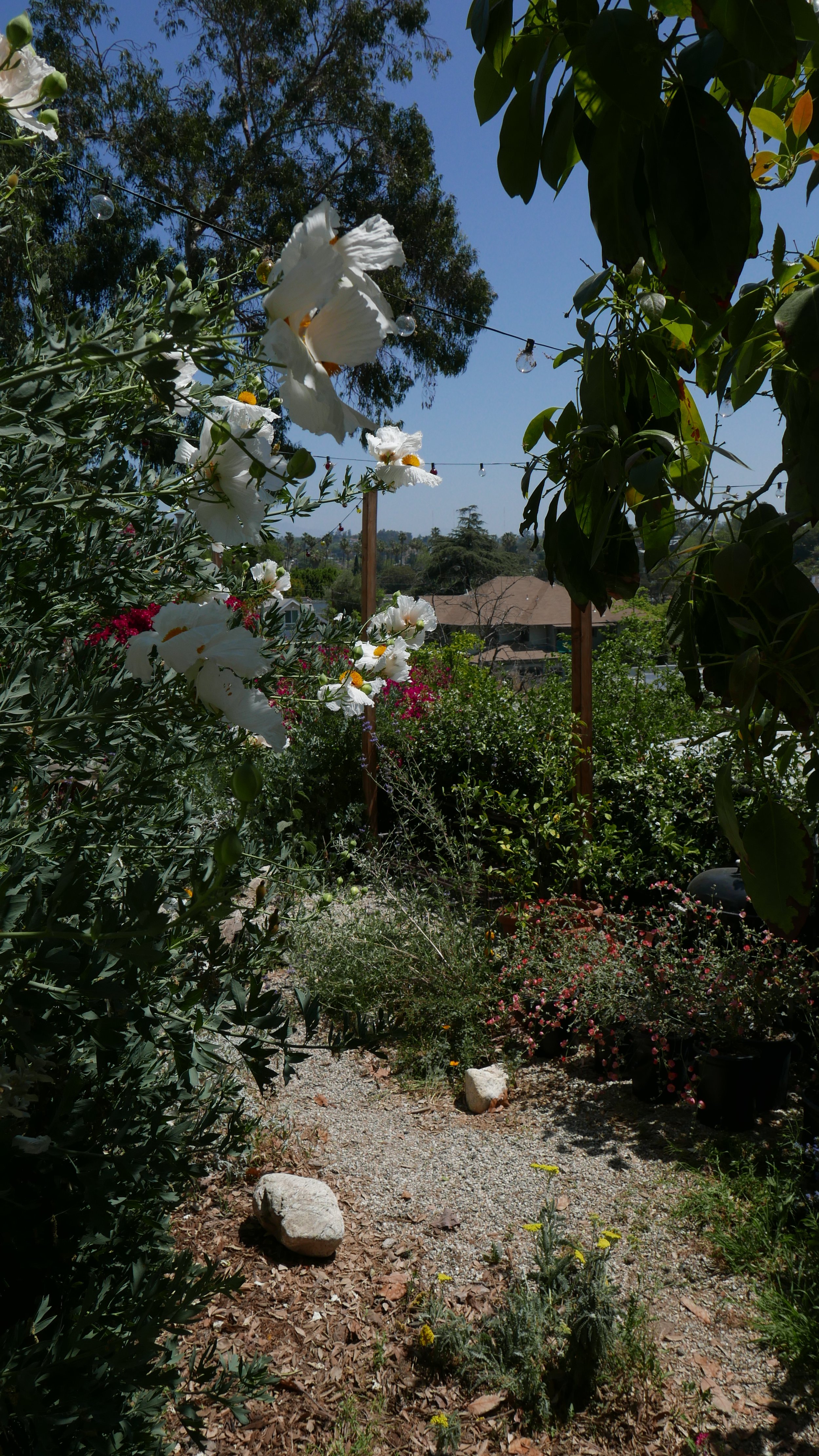 P1000843.JPG
