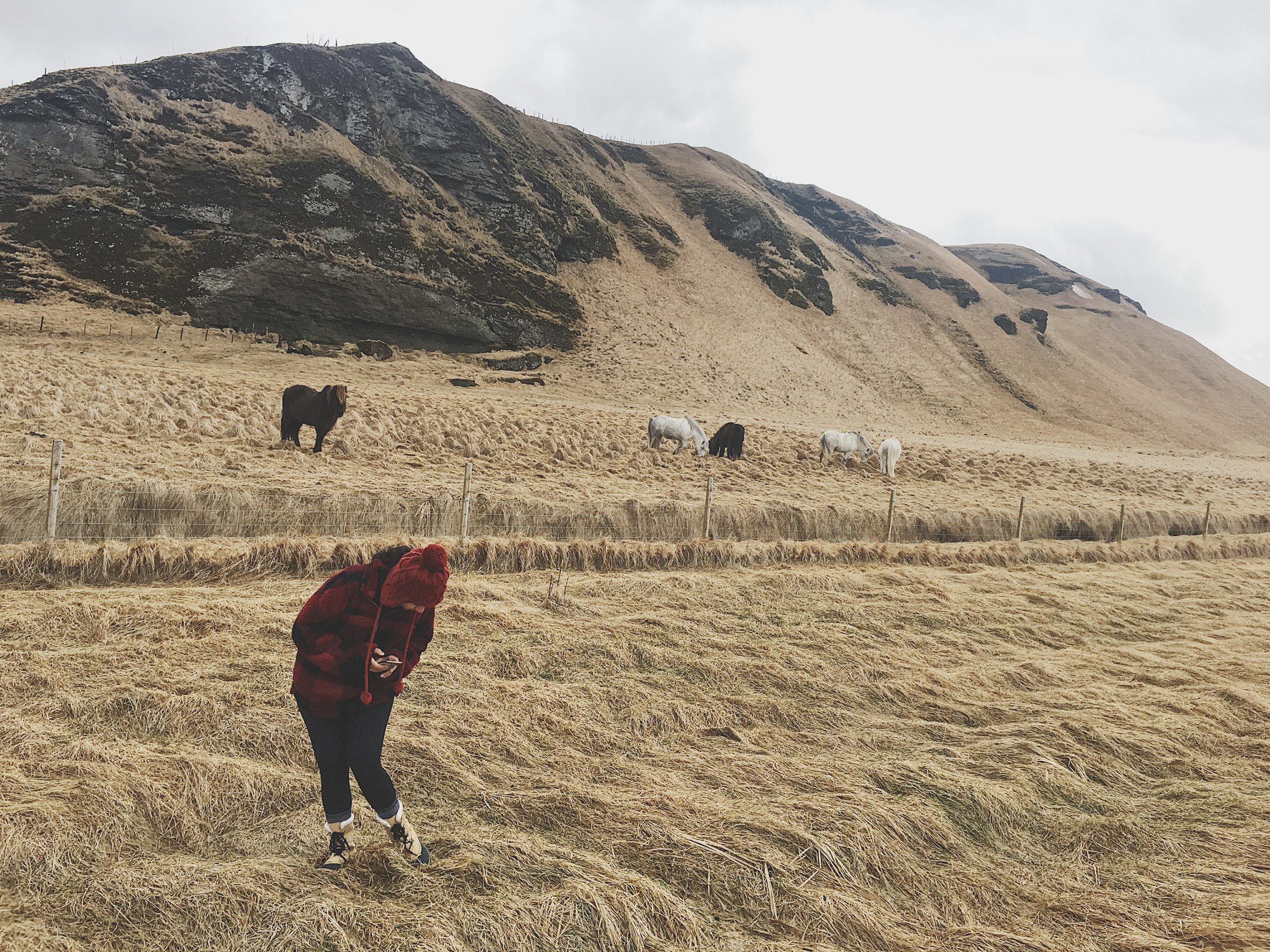 02F7CDC1-CDD4-4979-9AE3-21920EE98D24 (1).JPG