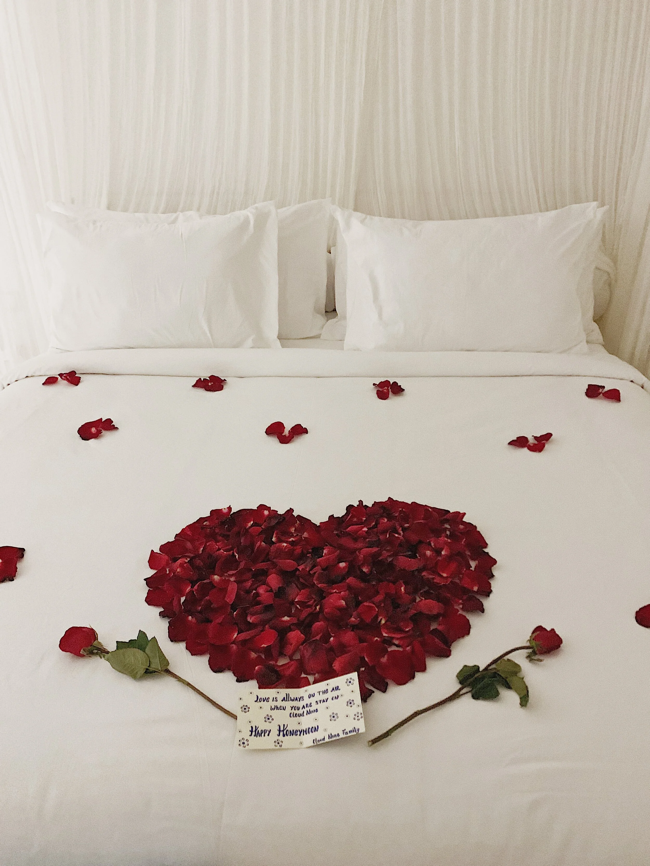 The sweet card reads:“Love is allways on the air when you are stay on Cloud Nine. Happy Honeymoon. -Cloud Nine Family” - Yes the typo and broken English is what’s on the card word for word, but my husband and I still keep it and love it