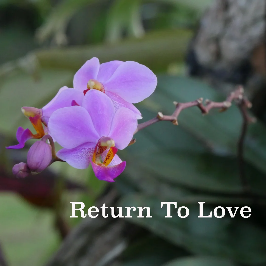 returntolove.jpg