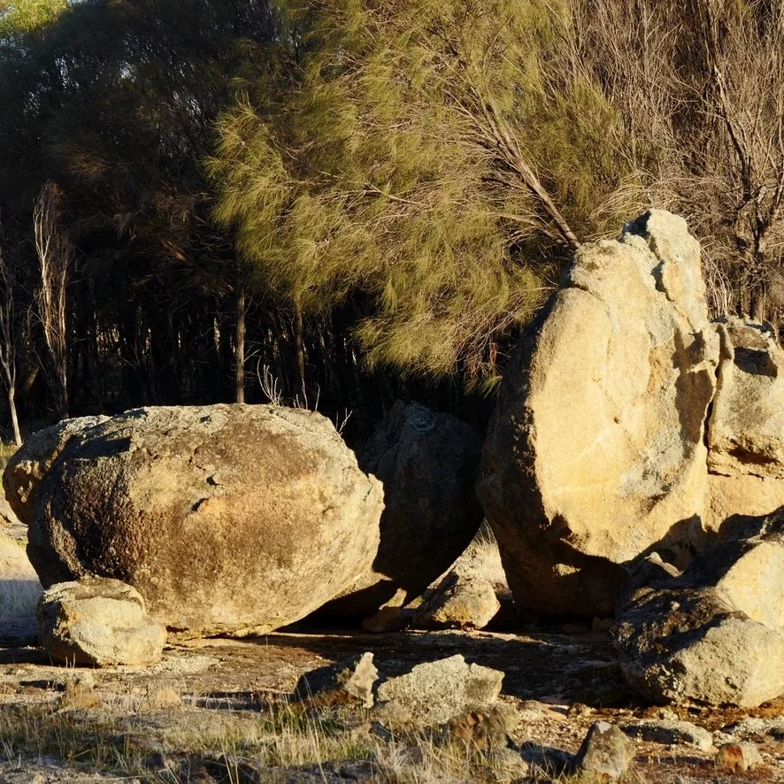 Your Genes are NOT written in Stone