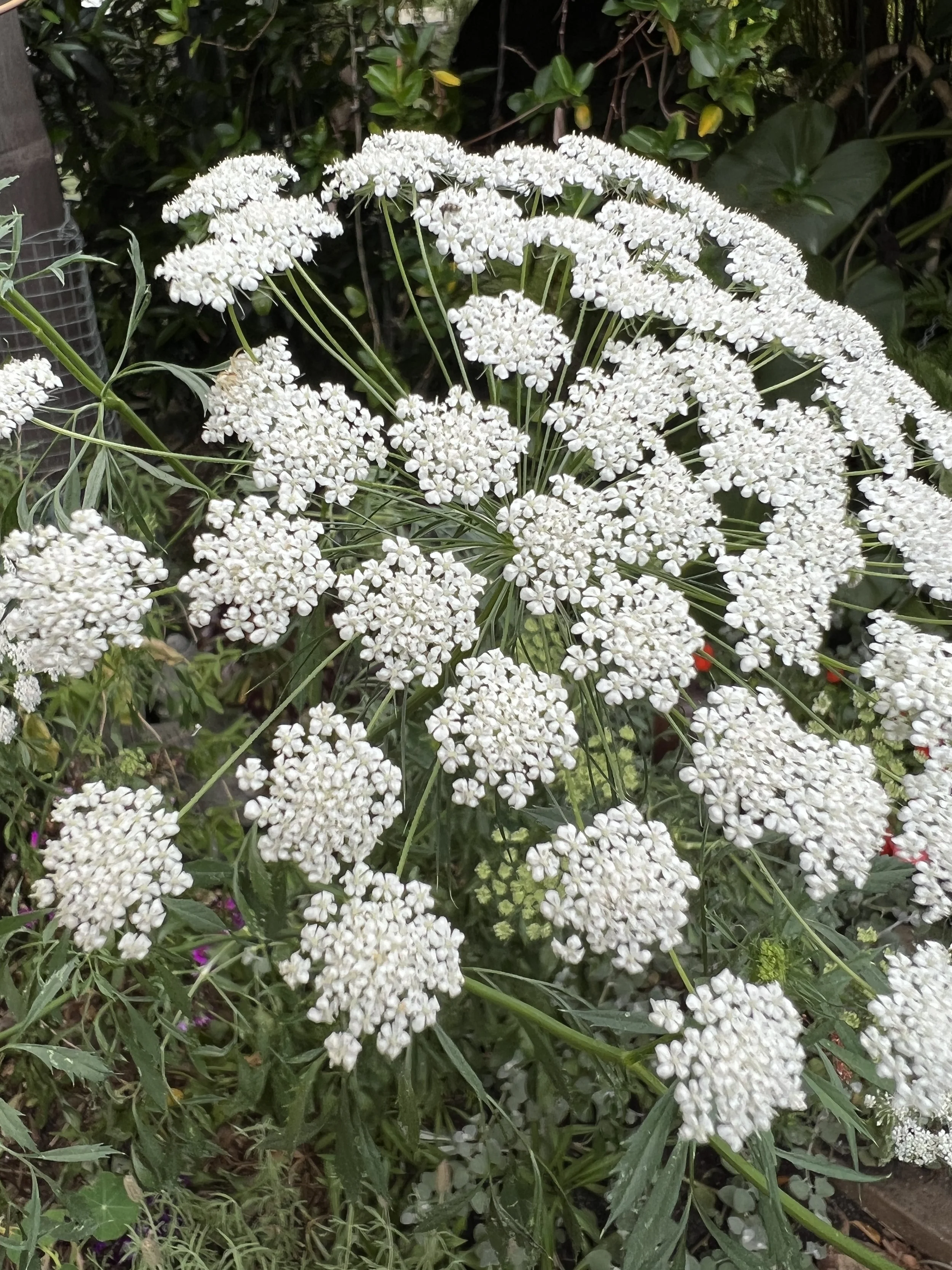 Change is Always With Us