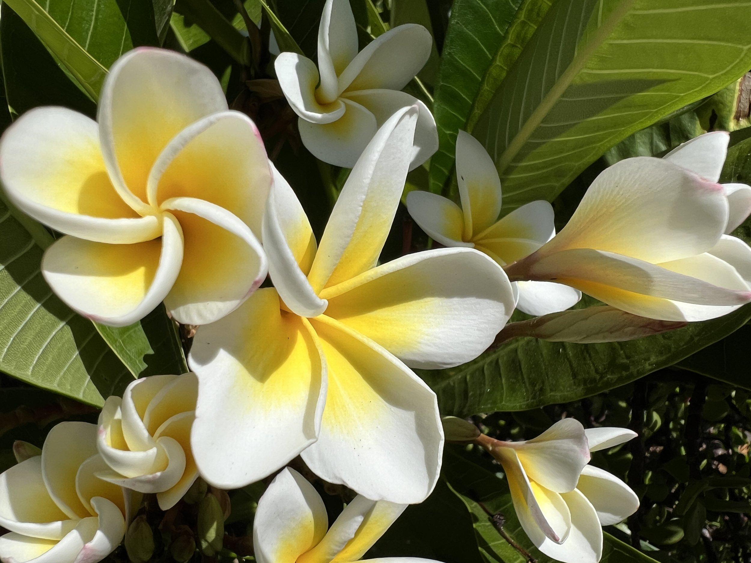 From Potential To Reality