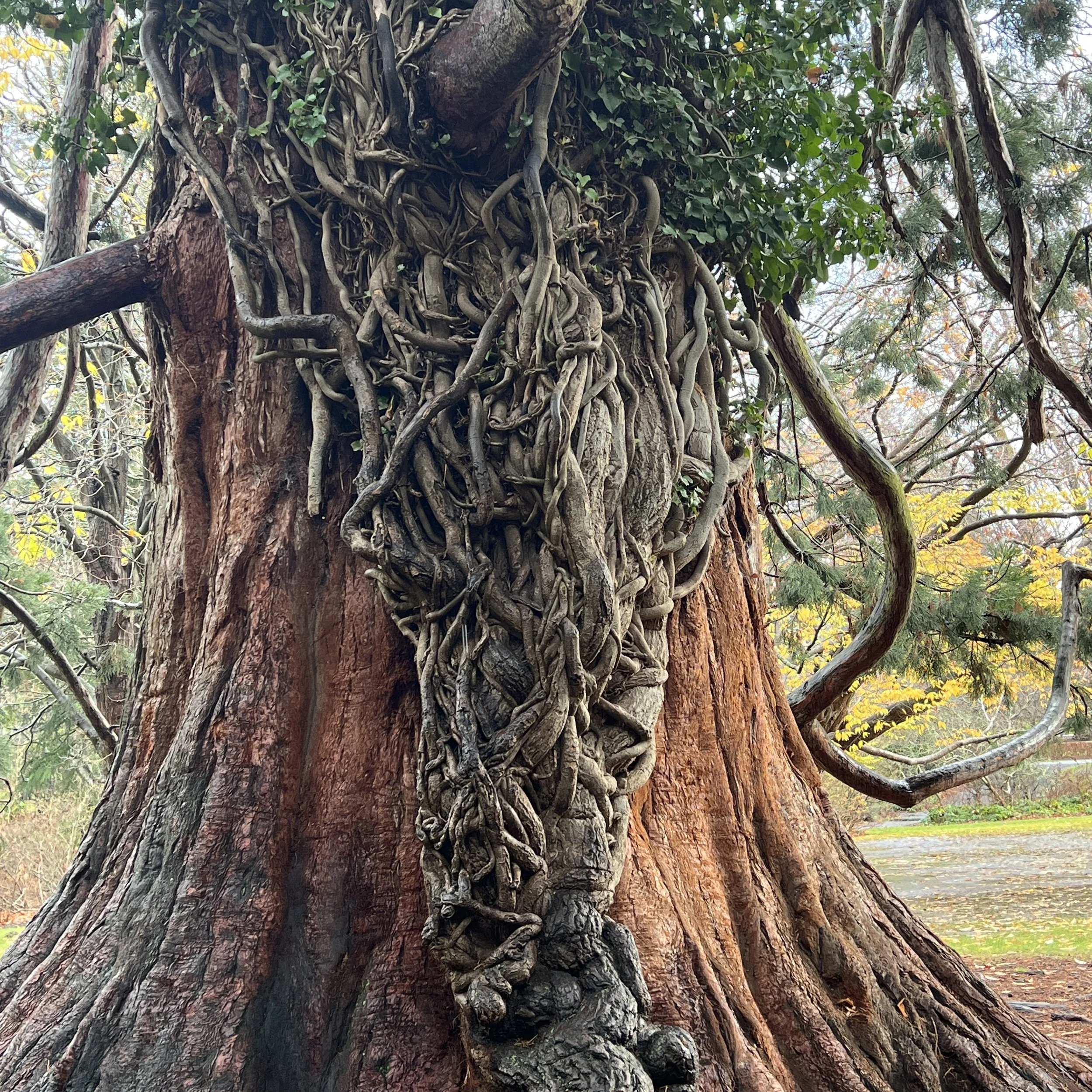 Into the Depths of Your Being