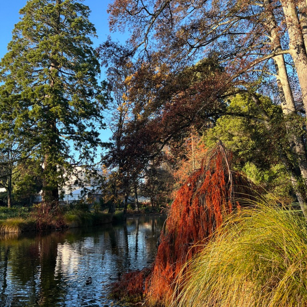 Breathing in Wonderment
