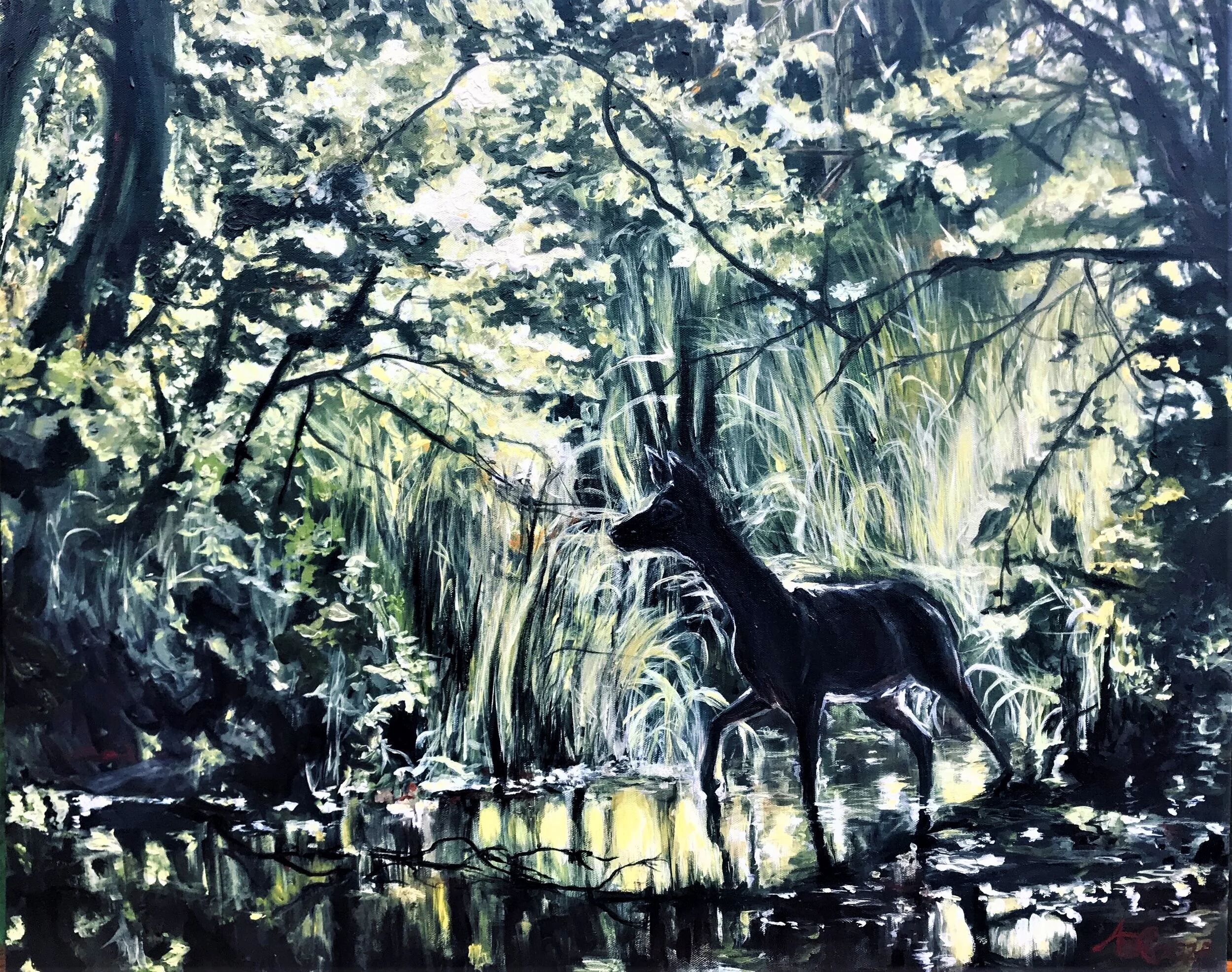 "Reflection of Sunlight"