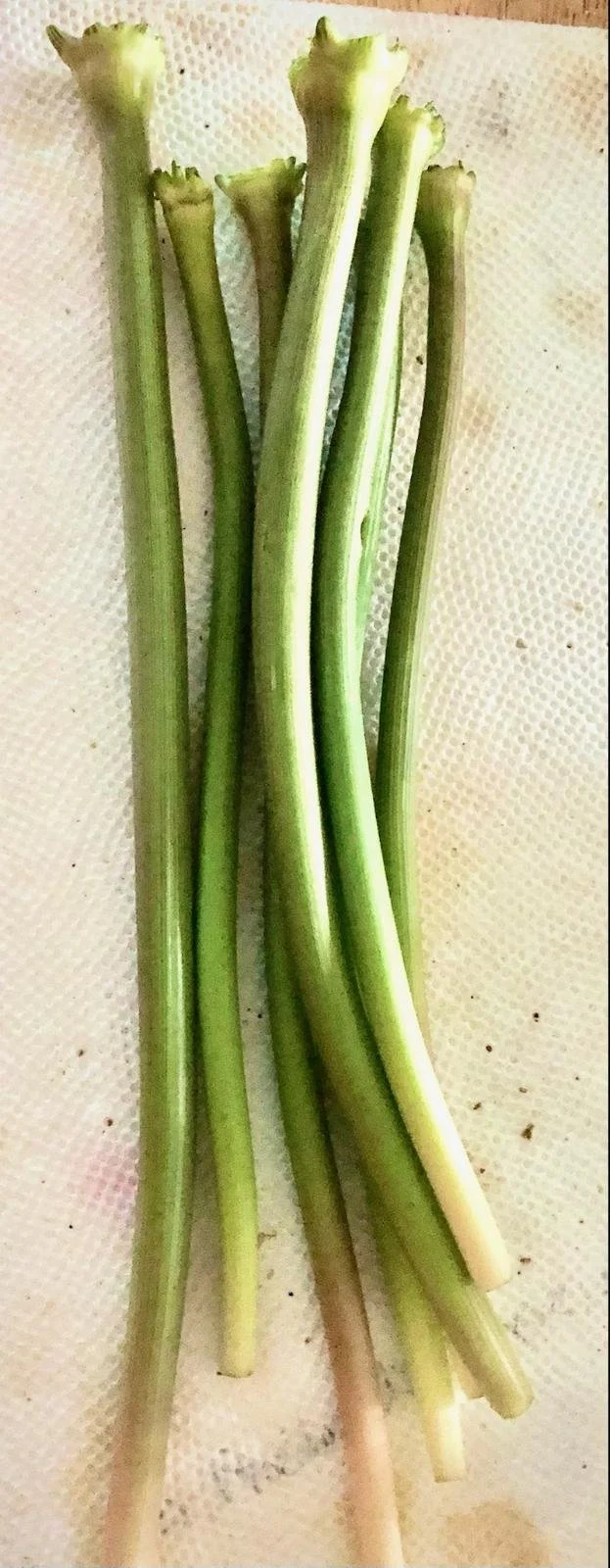 2022 South Wasco Food Shared Delicacies and Community