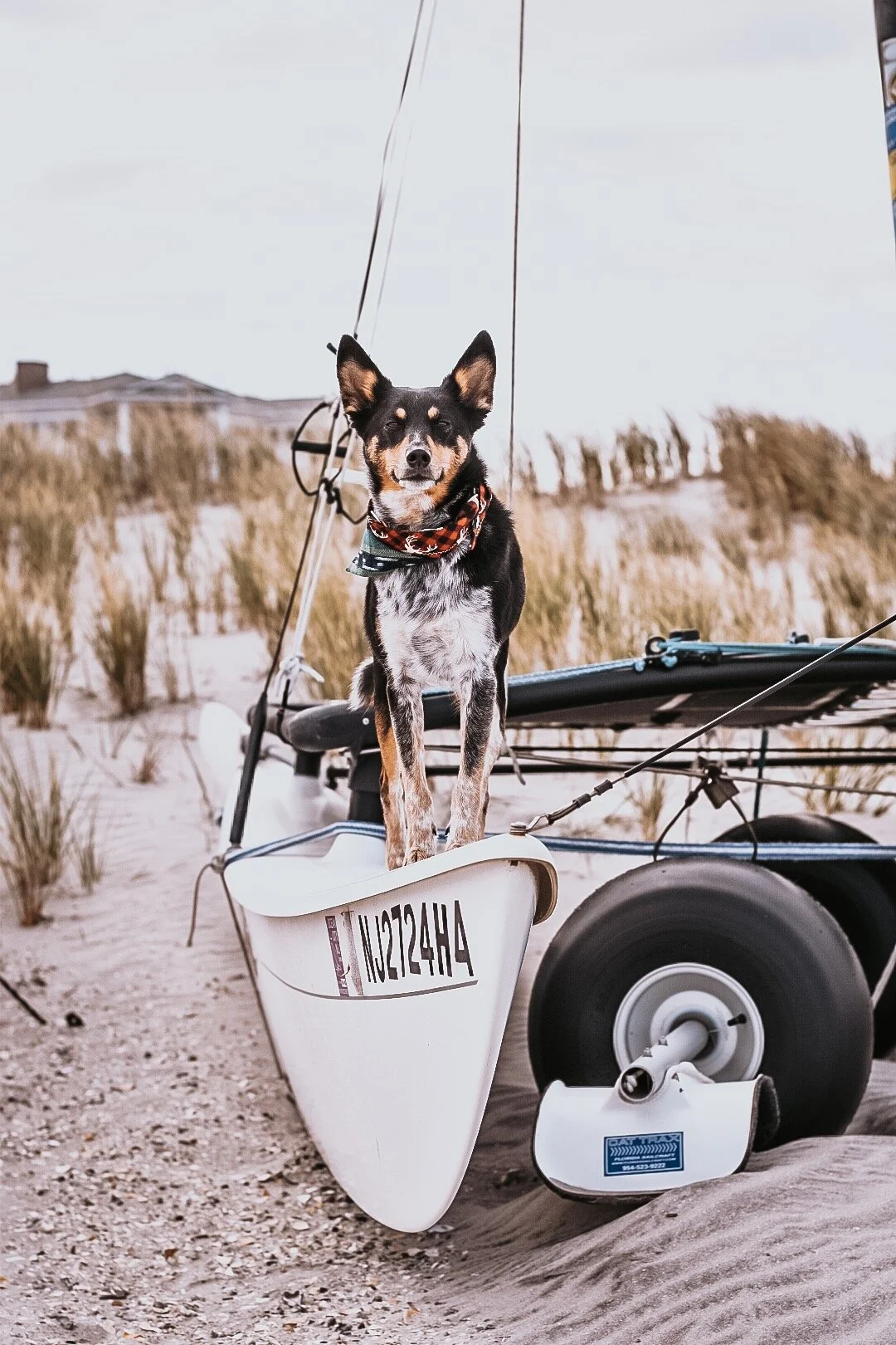 005DBFE0-1A81-4239-9141-6A45D0680528 - Amy Ondeyka.jpeg