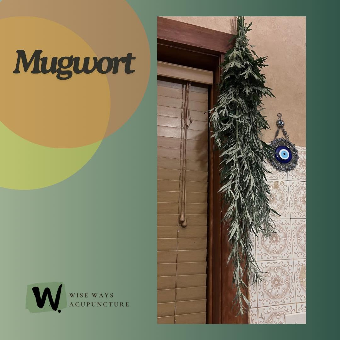 I got my solstice mugwort picked and drying!

Mugwort or Ai Ye is likely one of my favorite herbs (even though it is rather hard to choose!)

Picking it during the solstice, the most yang time of the year, is where the magic is! 

This herb is what i