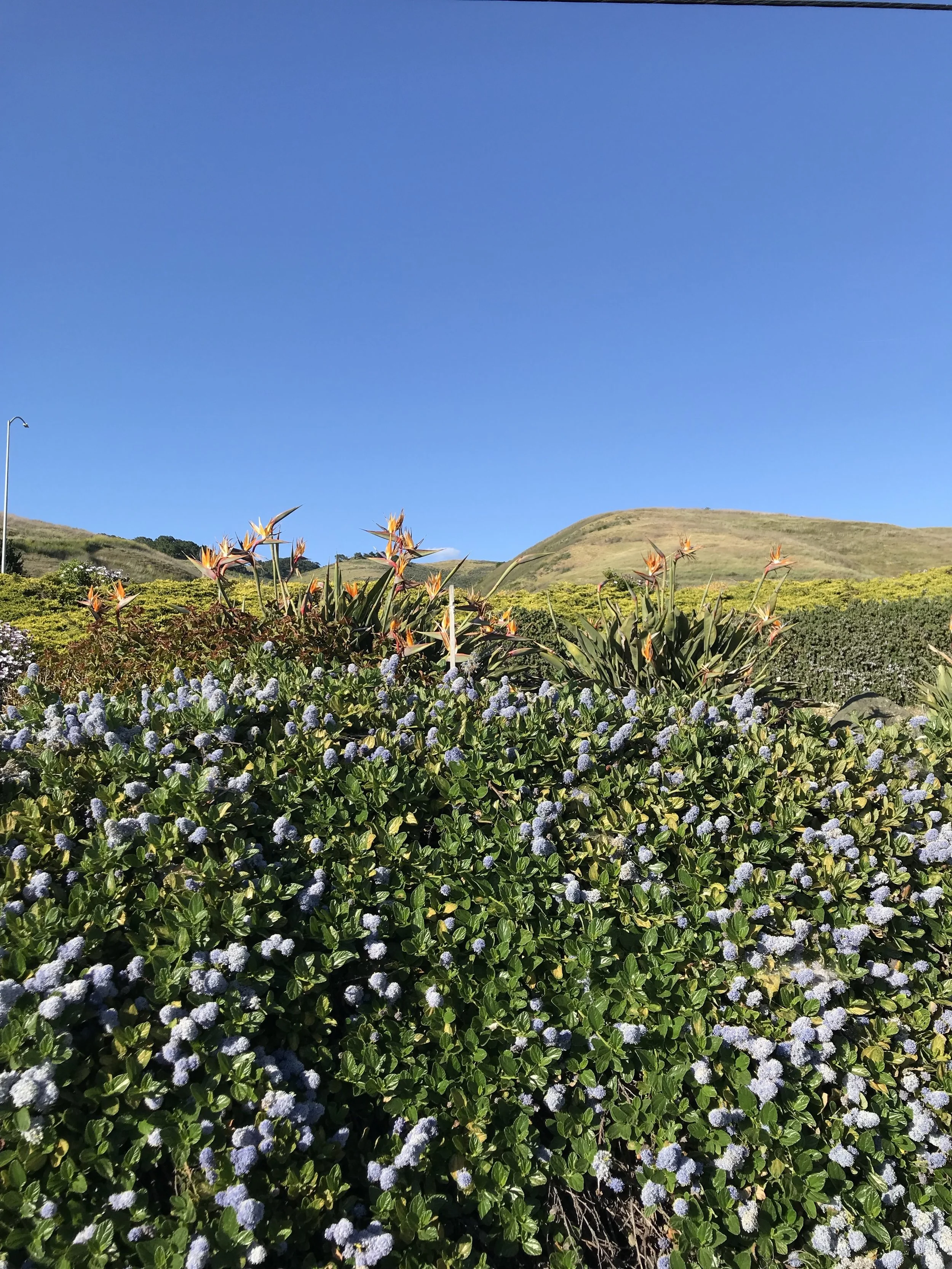 beginning of april update