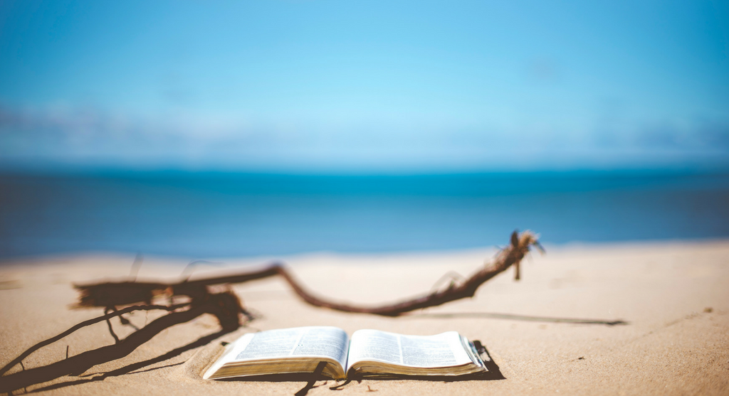 Beach-Reading-2.png