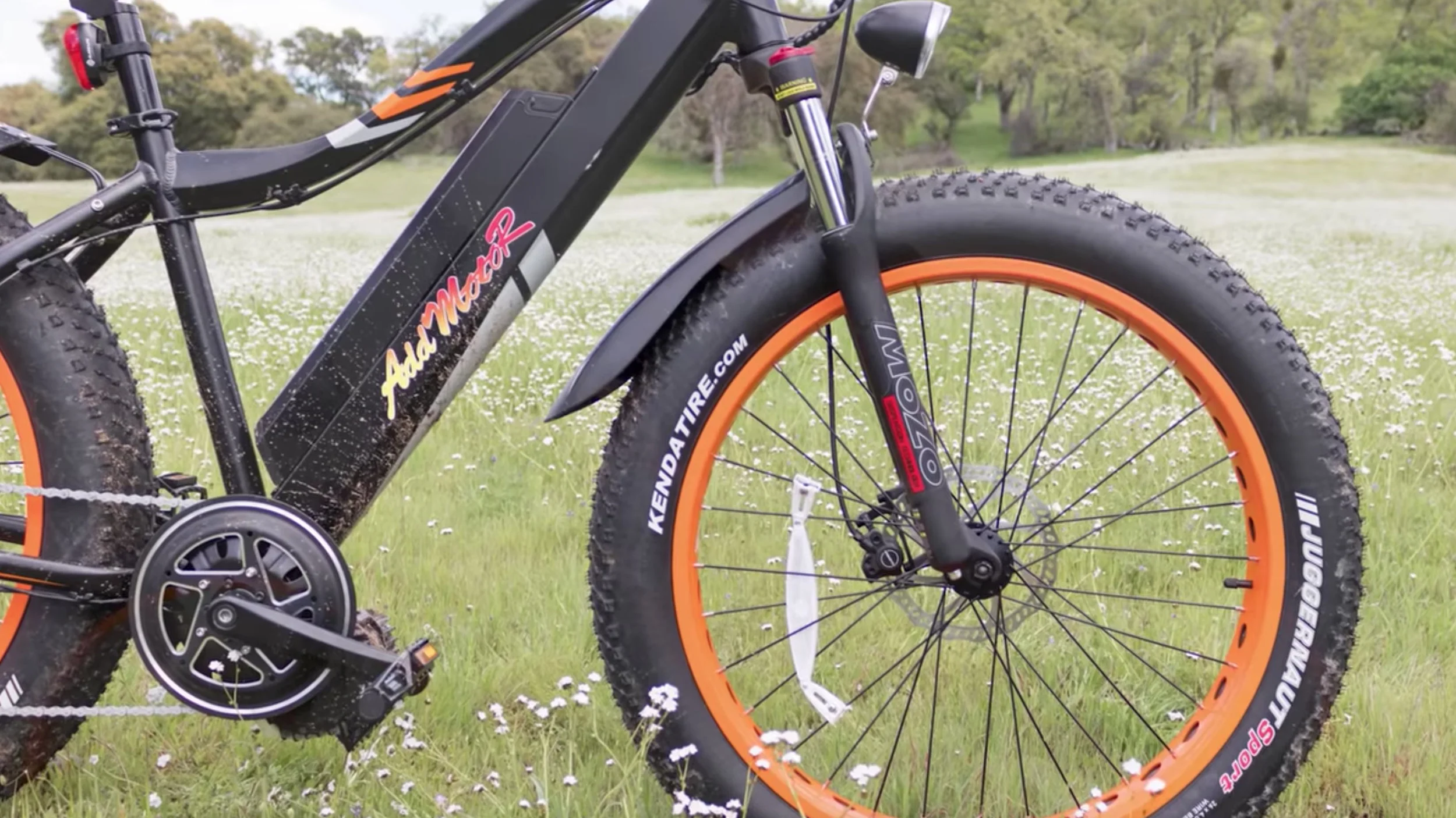 addmotor motan m5800